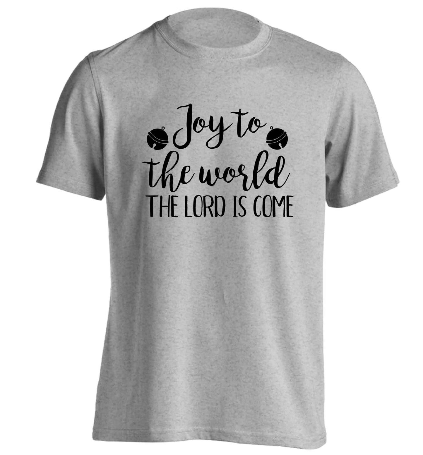 Joy to the world the Lord is come adults unisex grey Tshirt 2XL