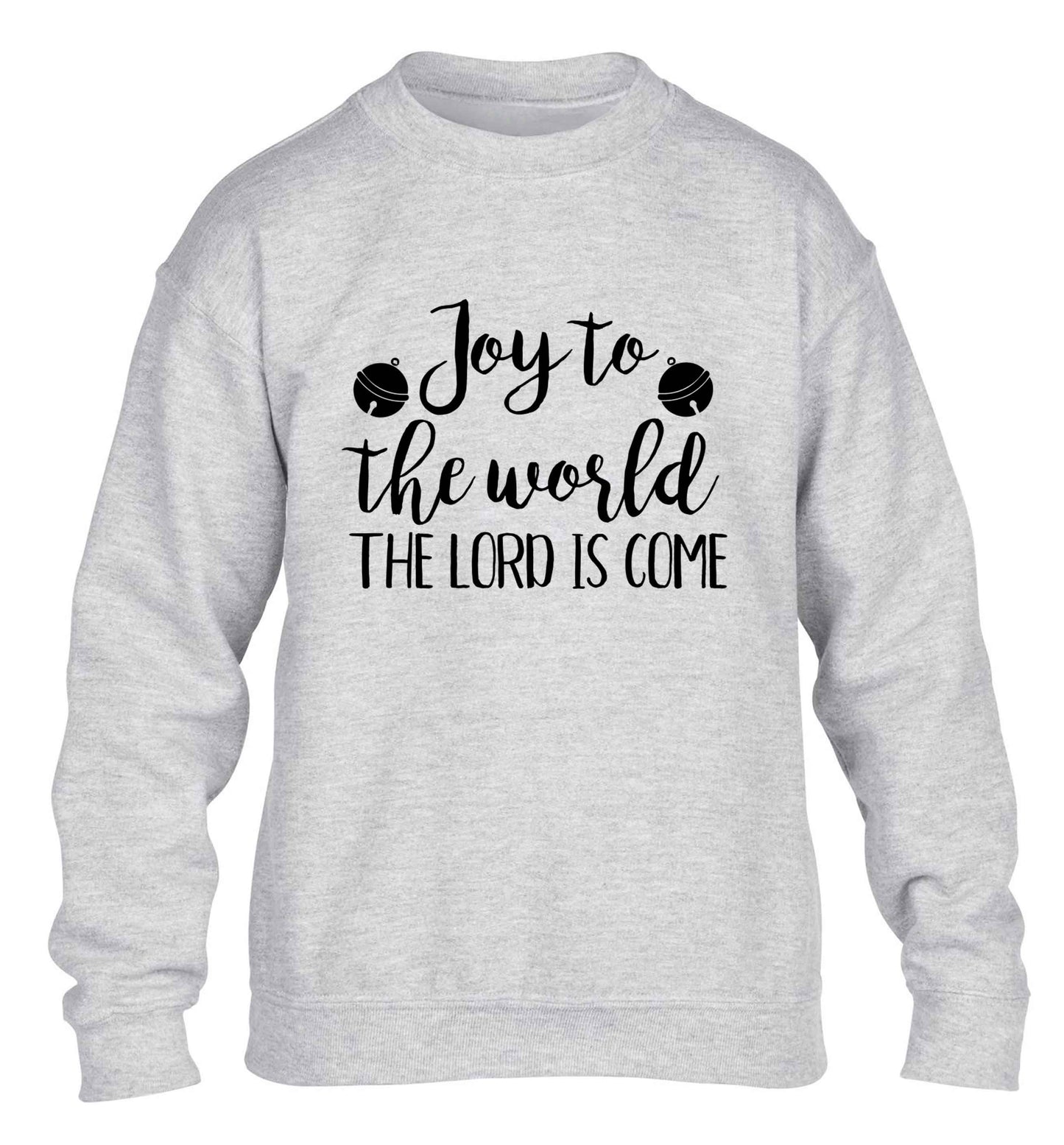 Joy to the World Lord children's grey sweater 12-13 Years