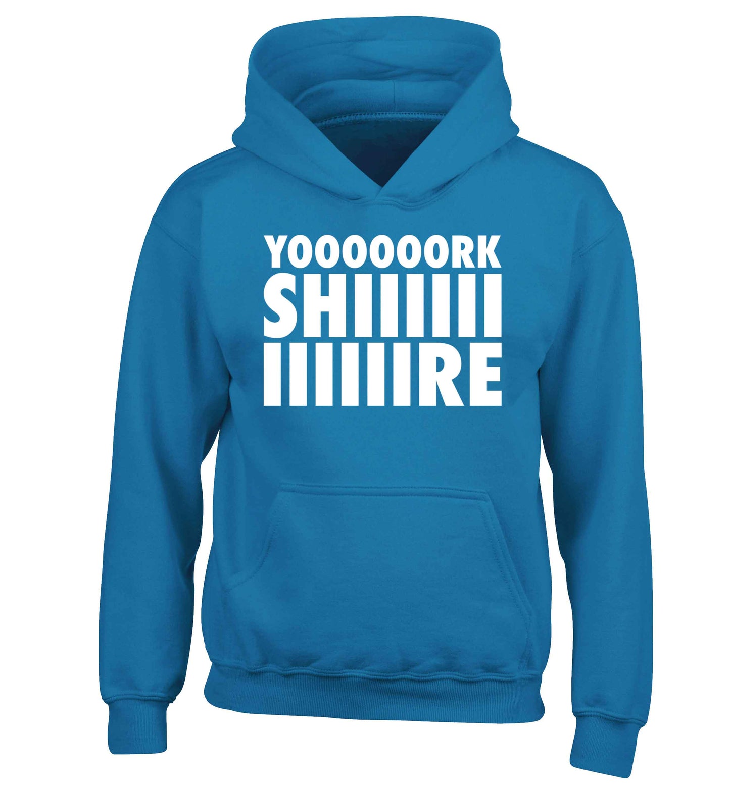 Yoooorkshiiiiire children's blue hoodie 12-13 Years