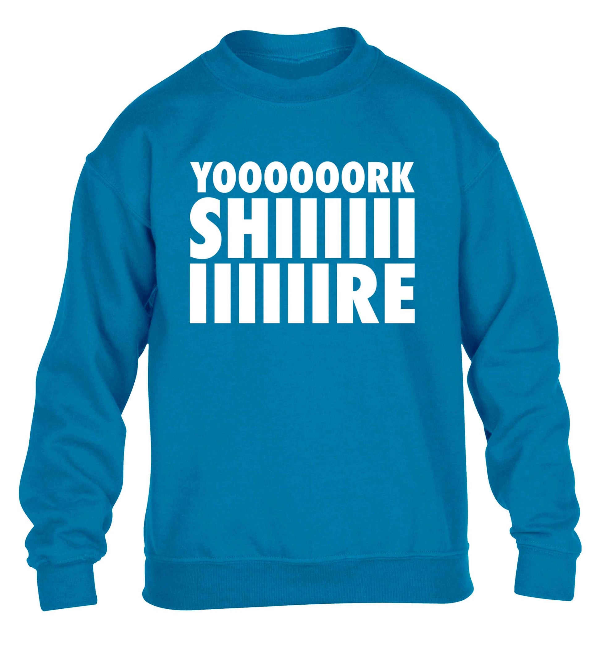 Yoooorkshiiiiire children's blue sweater 12-13 Years