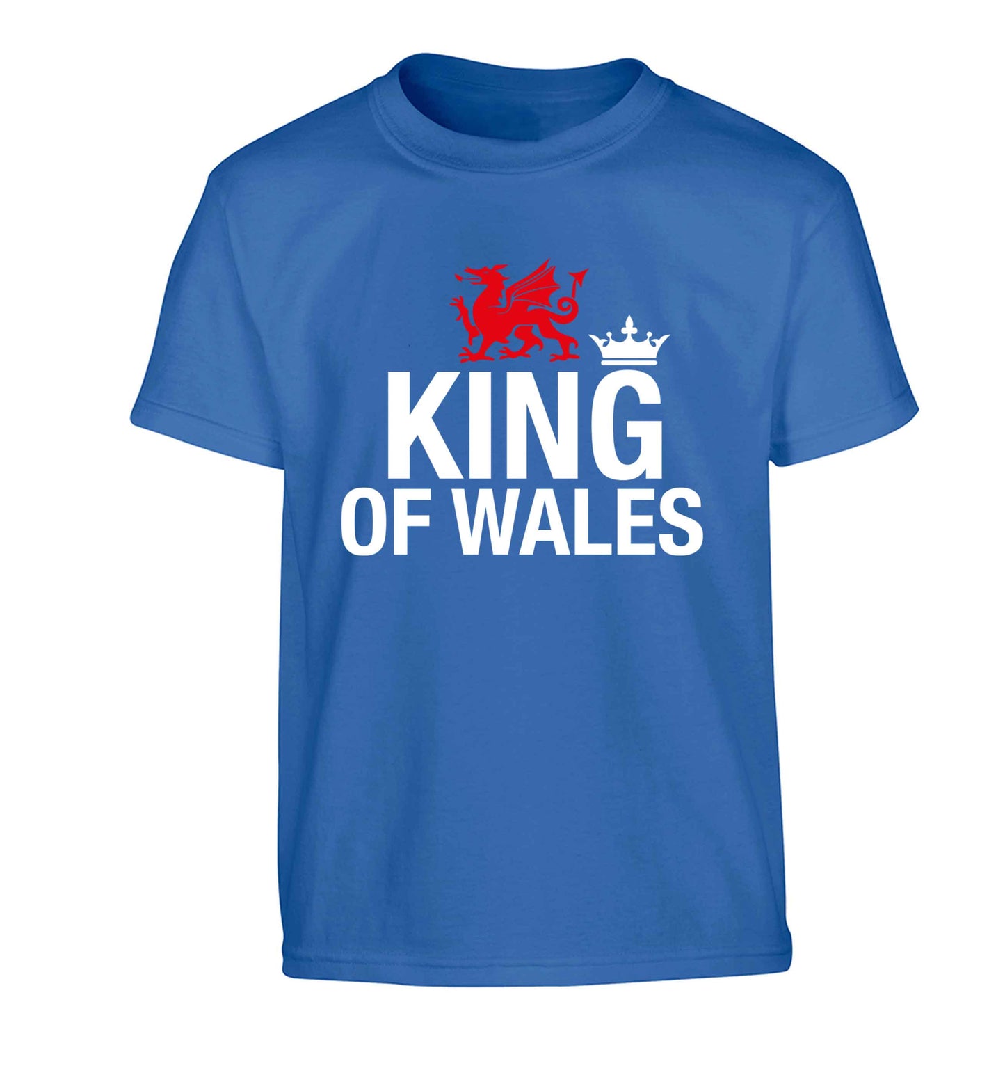 King of Wales Children's blue Tshirt 12-13 Years