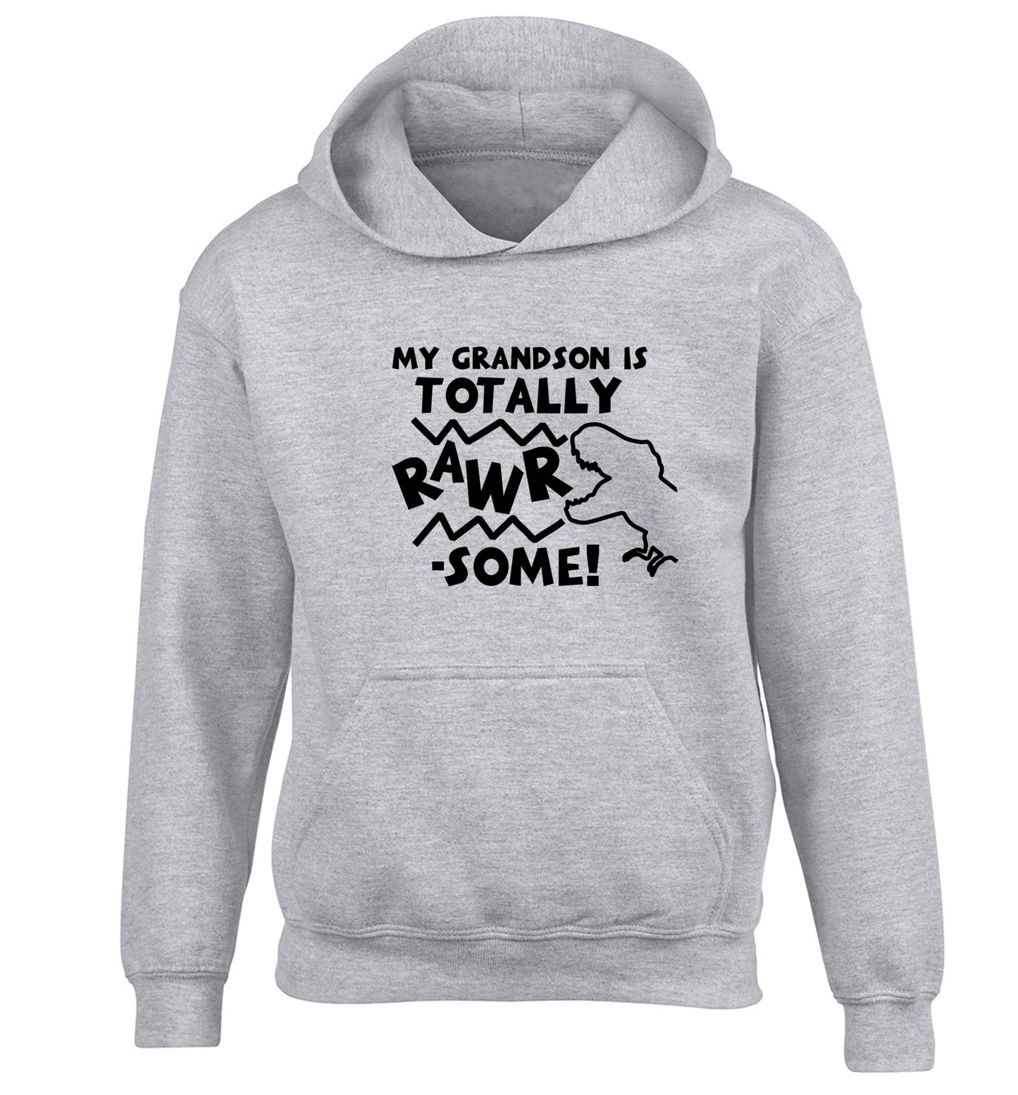 My grandson is totally rawrsome children's grey hoodie 12-13 Years
