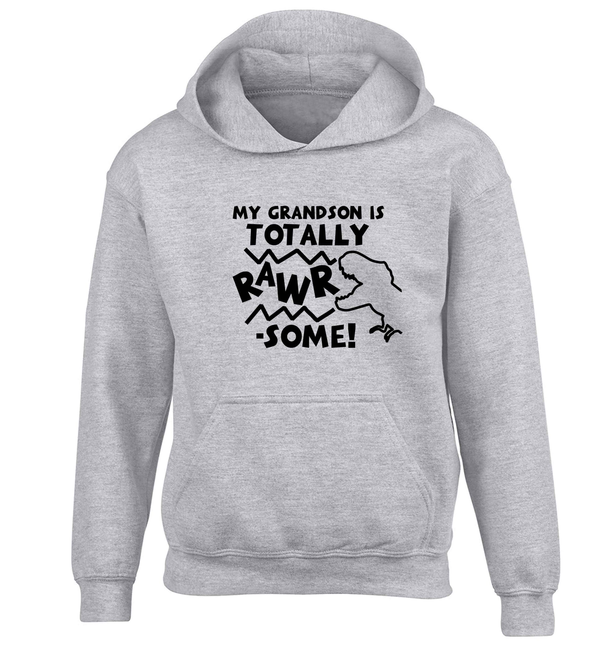 My grandson is totally rawrsome children's grey hoodie 12-13 Years