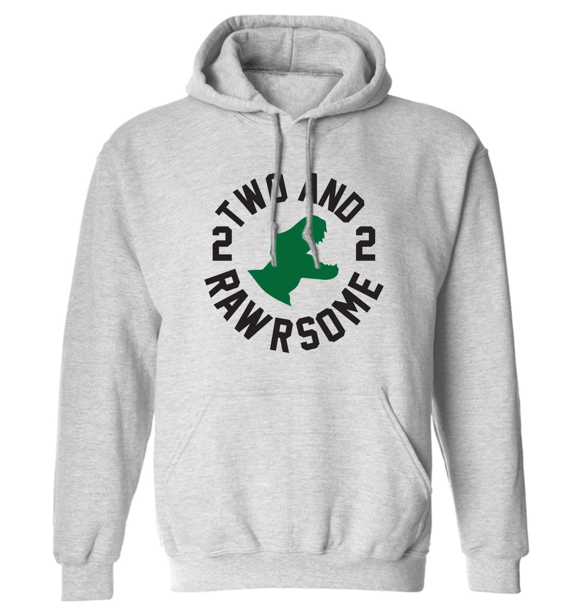 Two and rawrsome adults unisex grey hoodie 2XL