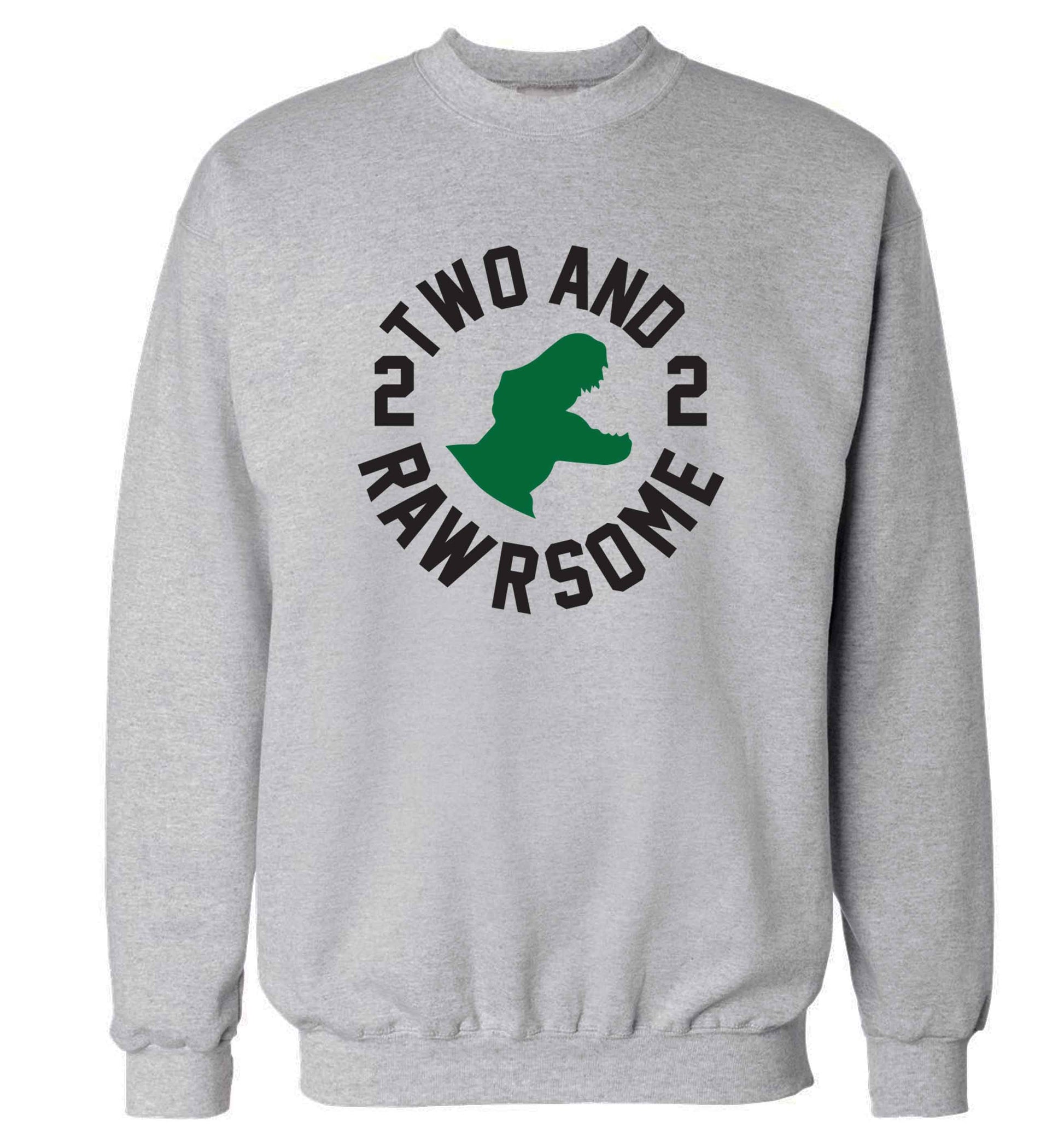 Two and rawrsome adult's unisex grey sweater 2XL