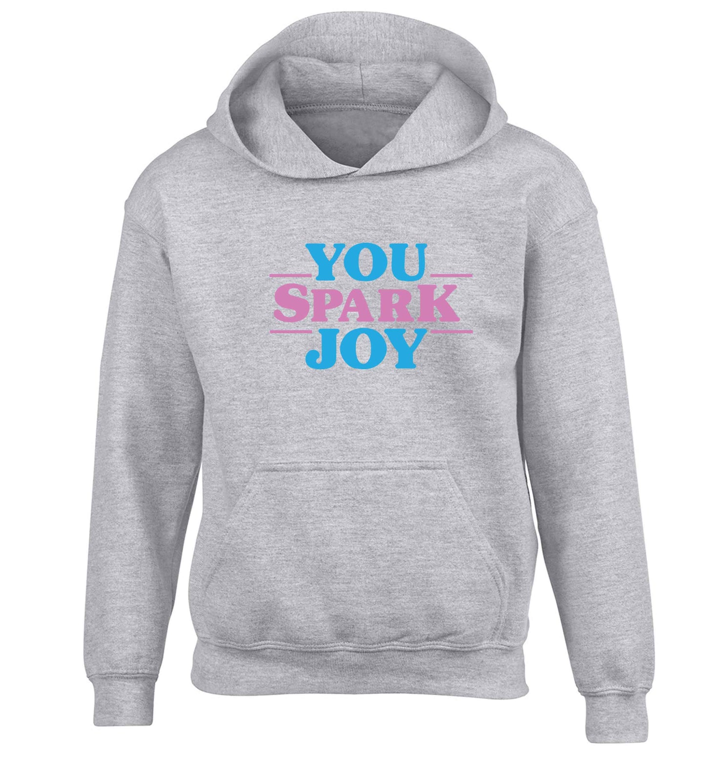 You spark joy children's grey hoodie 12-13 Years