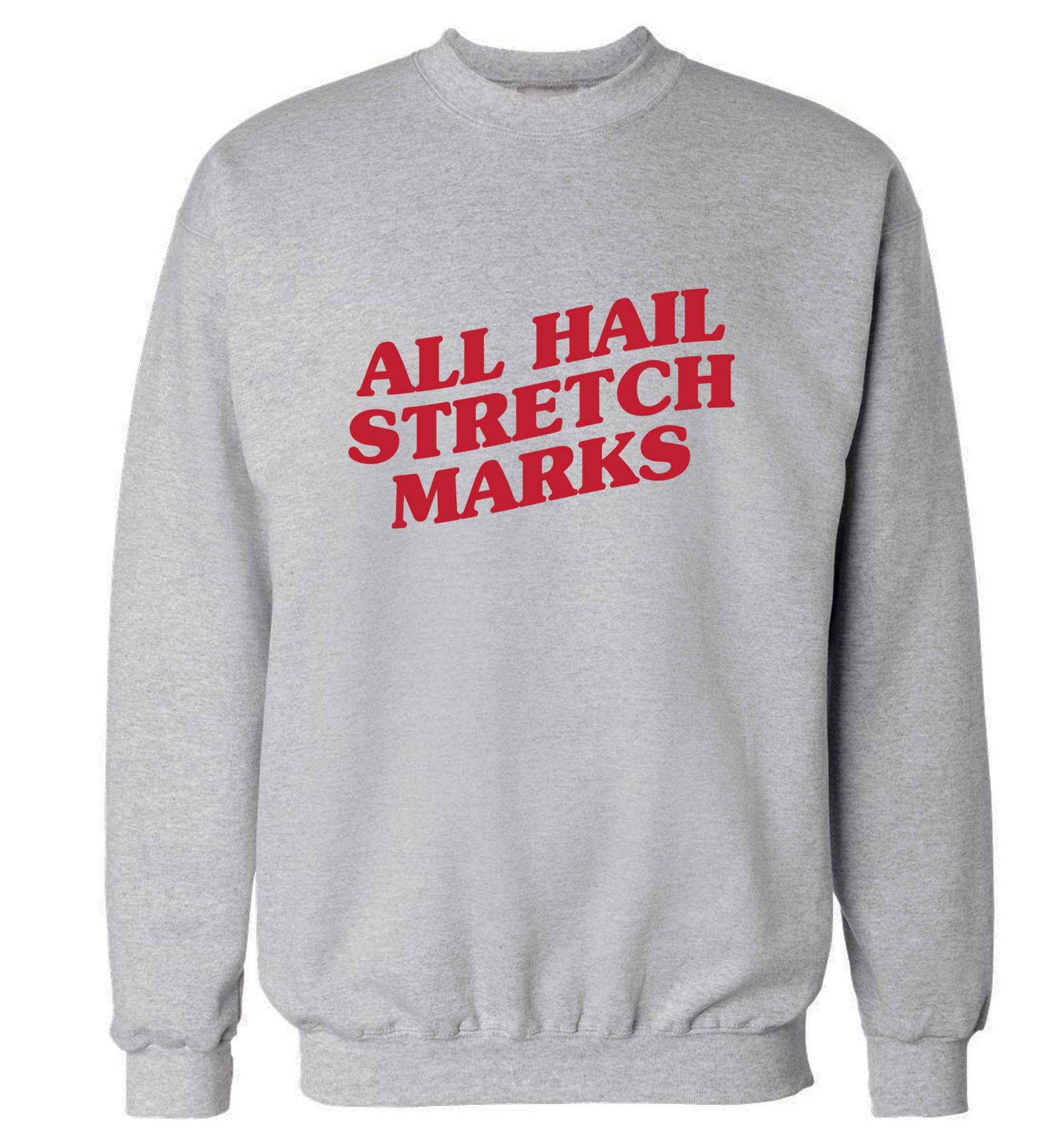 All hail stretch marks adult's unisex grey sweater 2XL