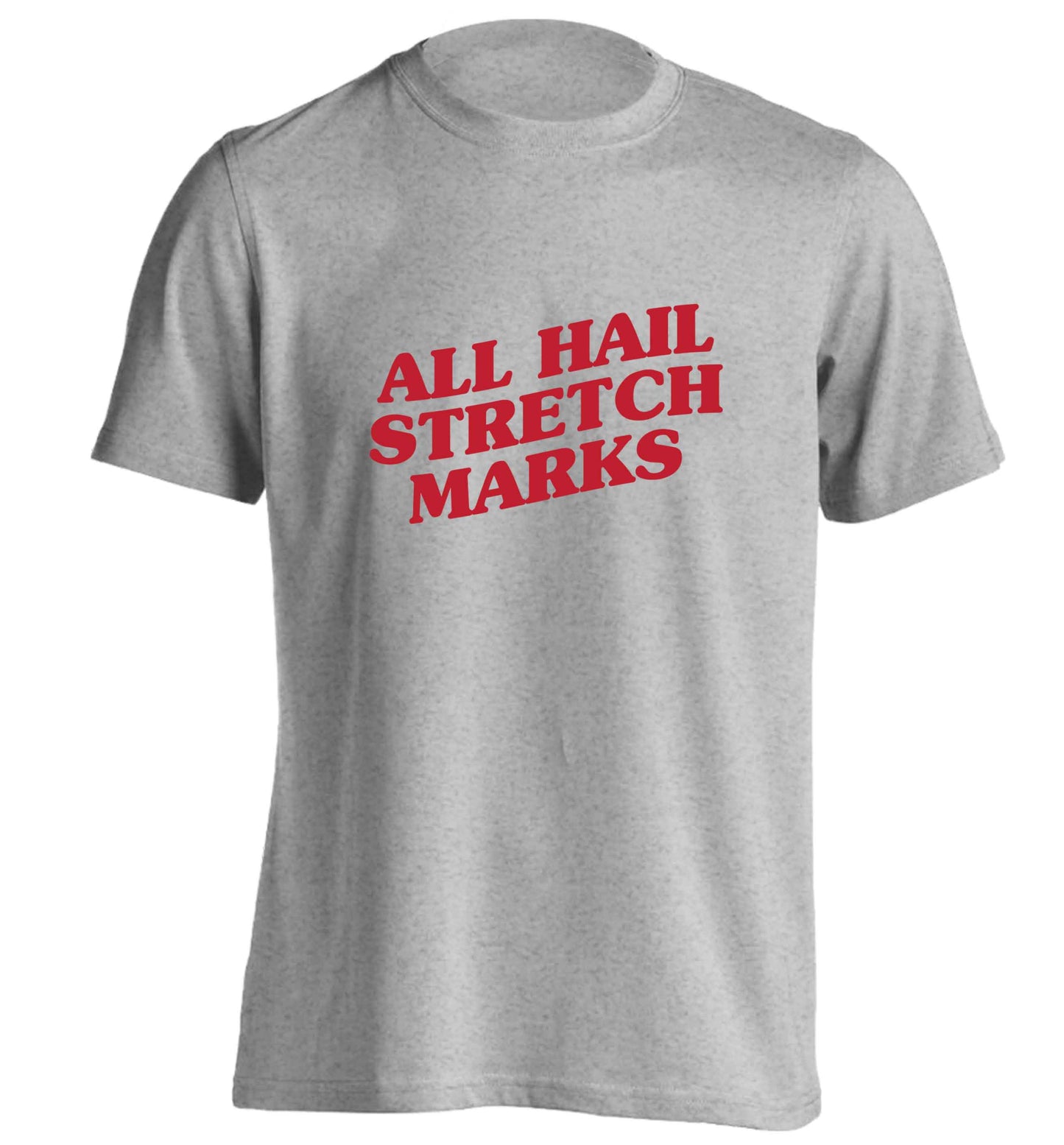 All hail stretch marks adults unisex grey Tshirt 2XL
