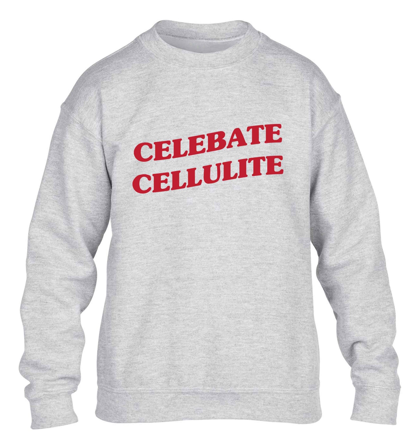 Celebrate cellulite children's grey sweater 12-13 Years