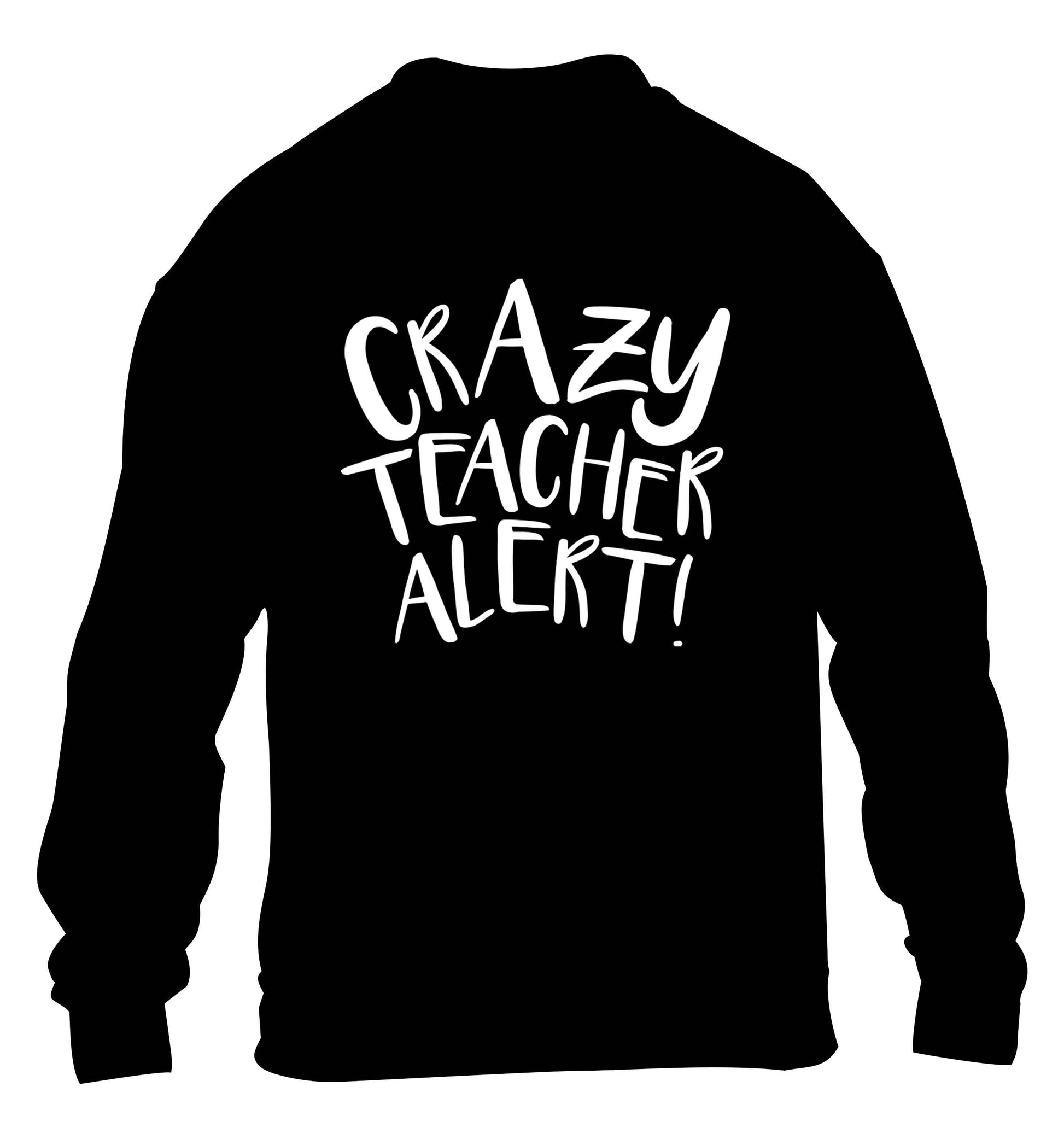 Crazy teacher alert children's black sweater 12-13 Years
