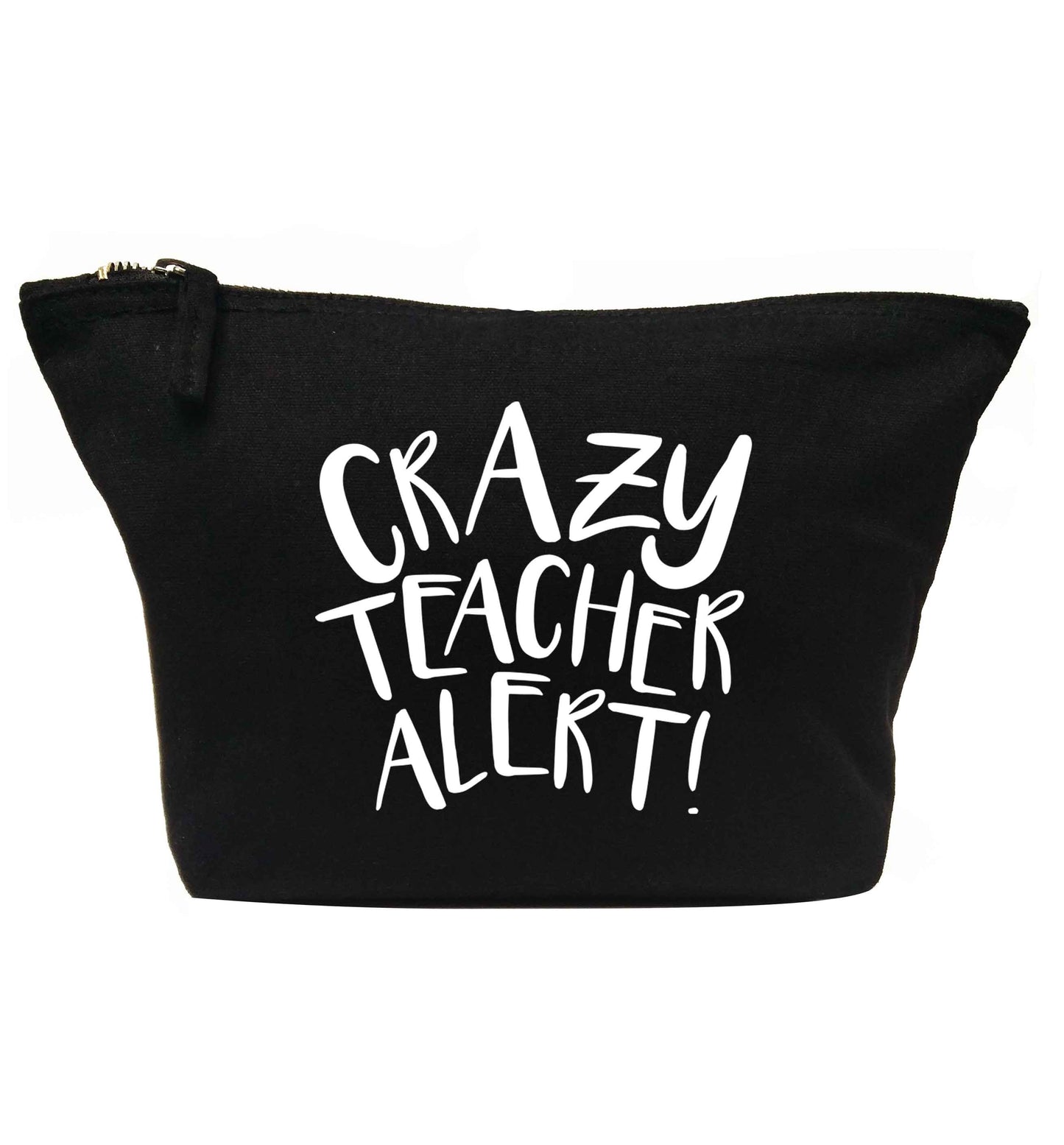 Crazy teacher alert | Makeup / wash bag