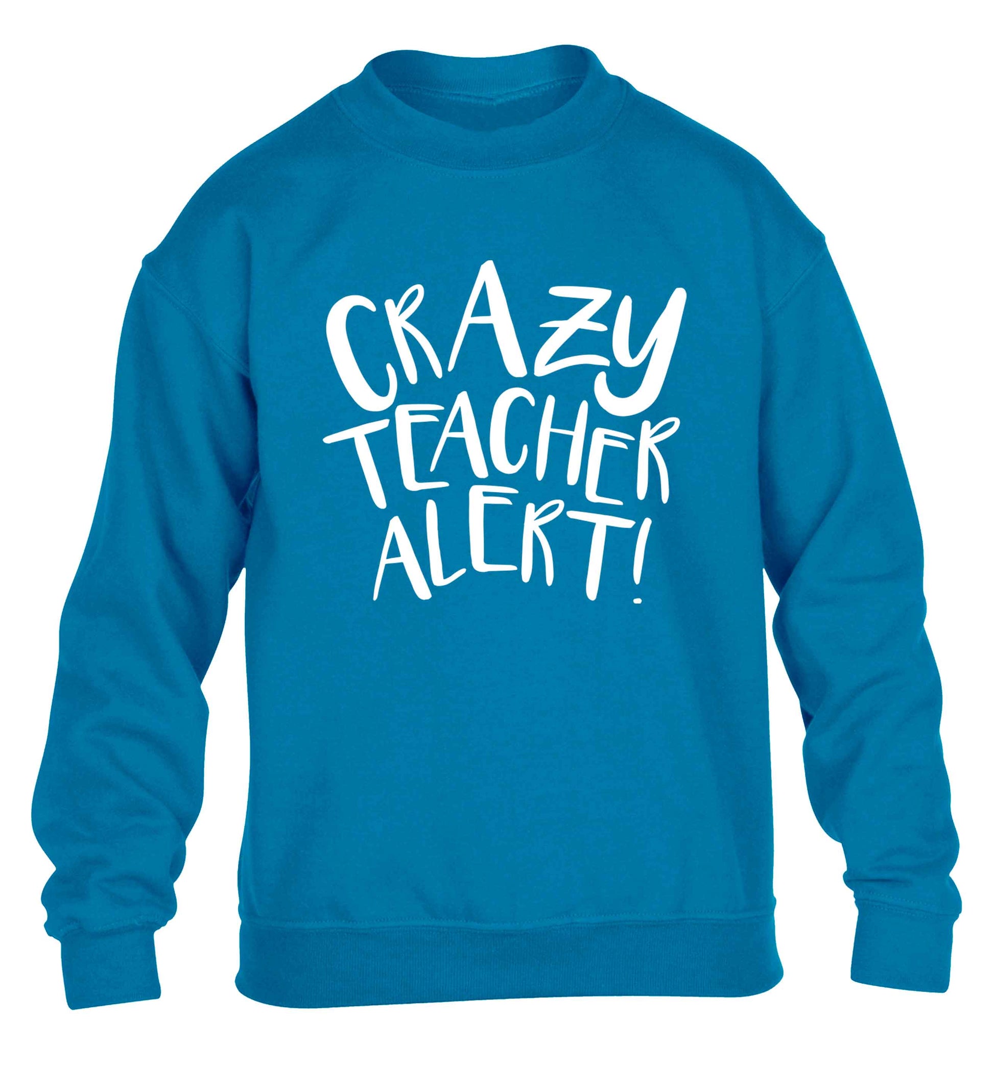 Crazy teacher alert children's blue sweater 12-13 Years