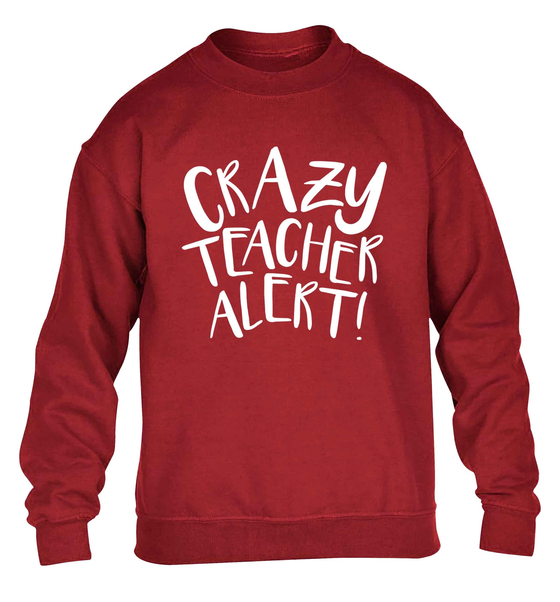 Crazy teacher alert children's grey sweater 12-13 Years