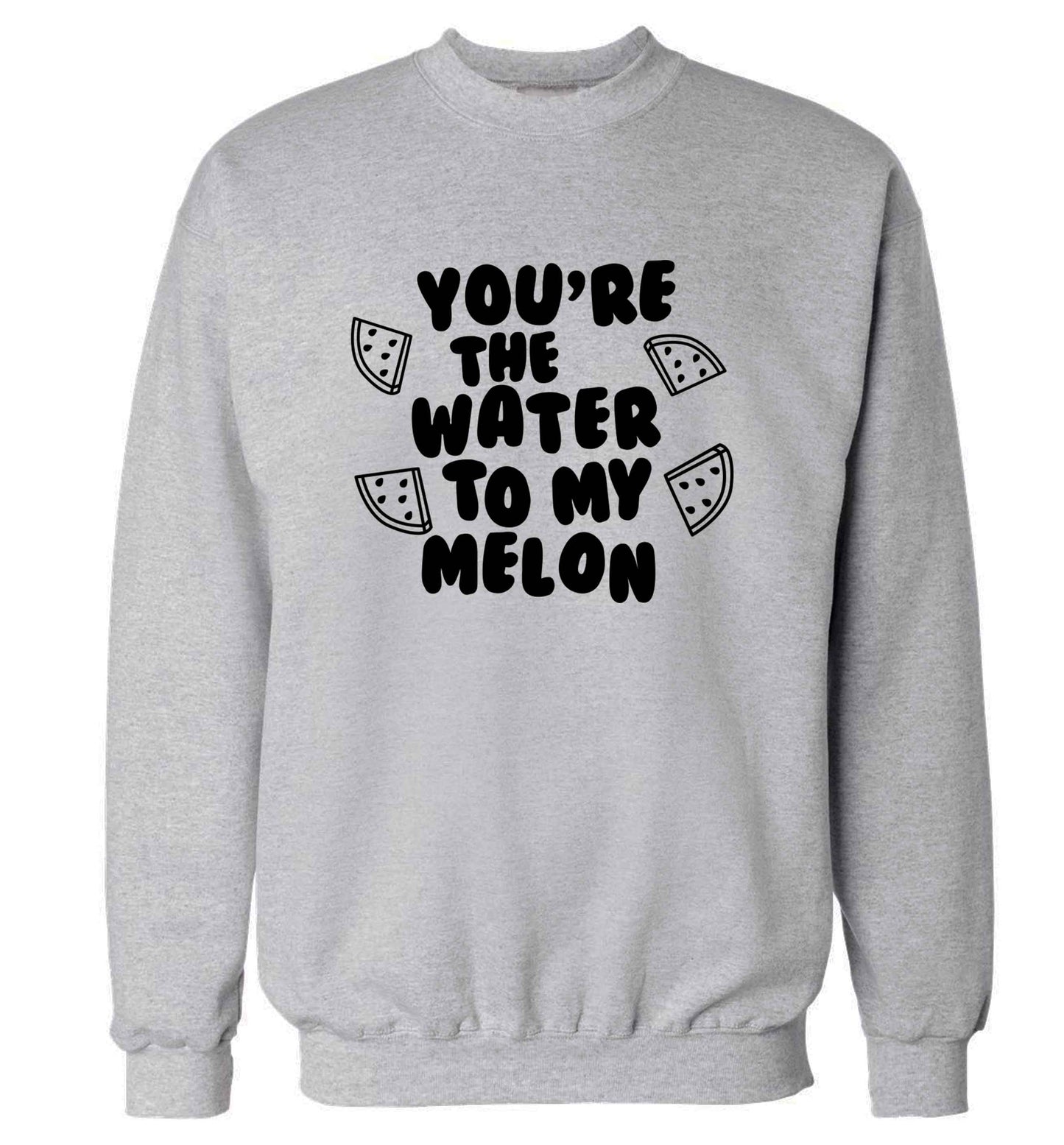 You're the water to my melon adult's unisex grey sweater 2XL
