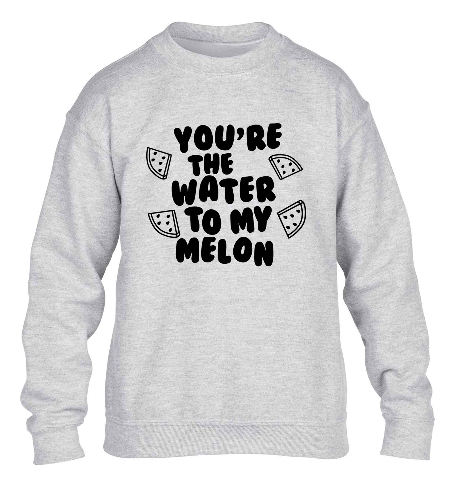 You're the water to my melon children's grey sweater 12-13 Years