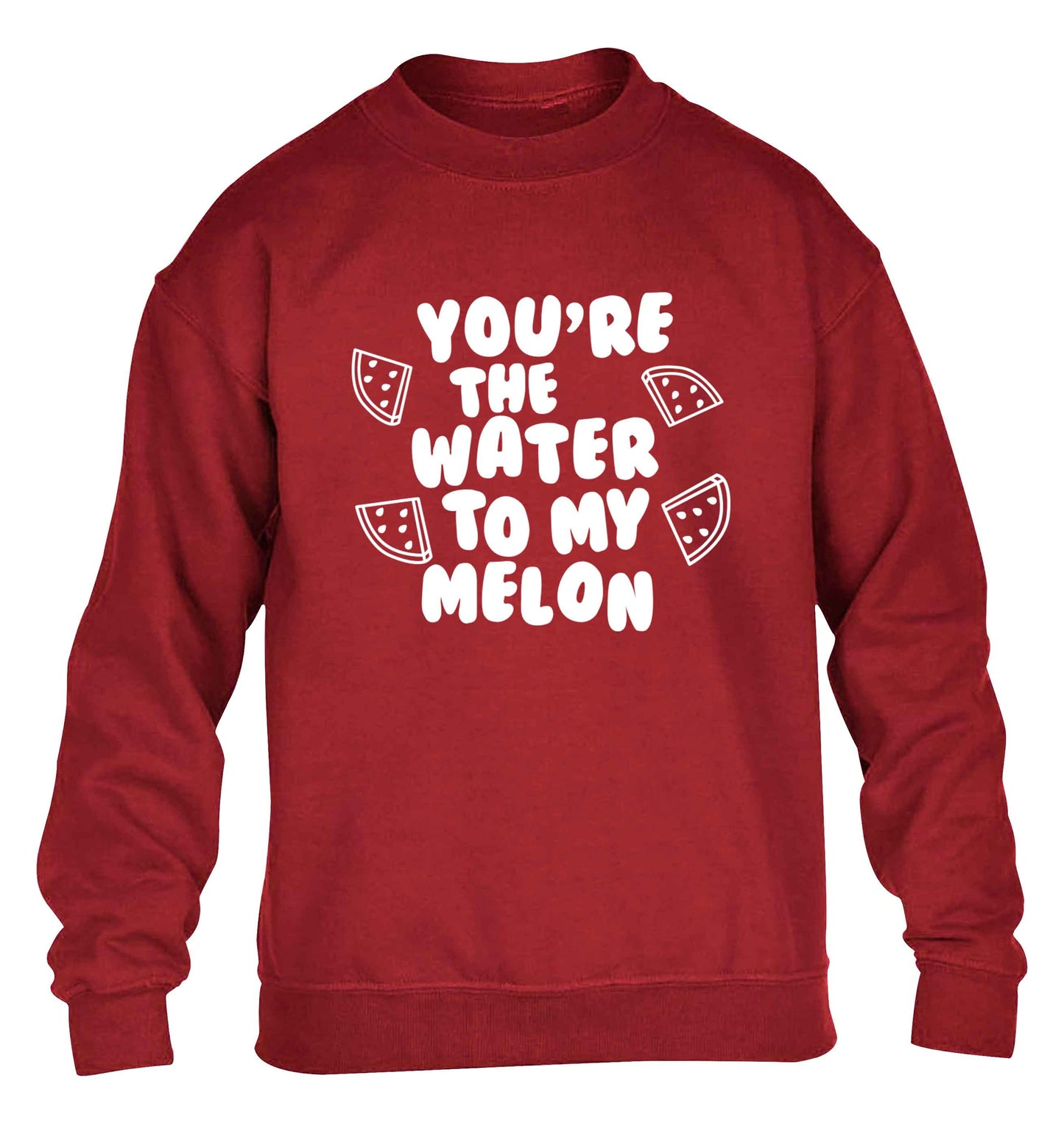You're the water to my melon children's grey sweater 12-13 Years