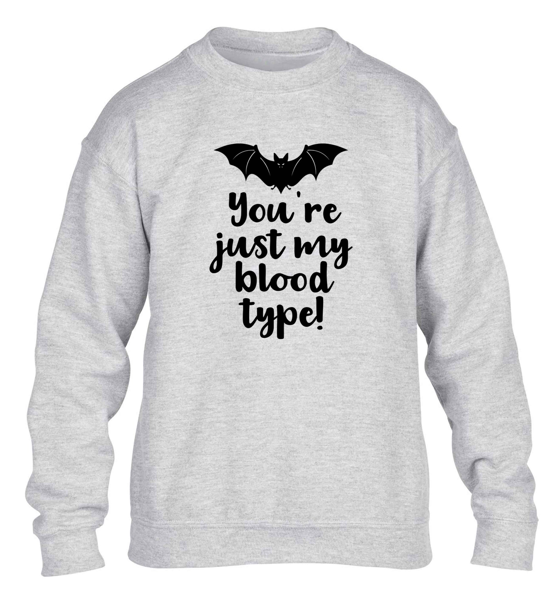You're just my blood type children's grey sweater 12-13 Years