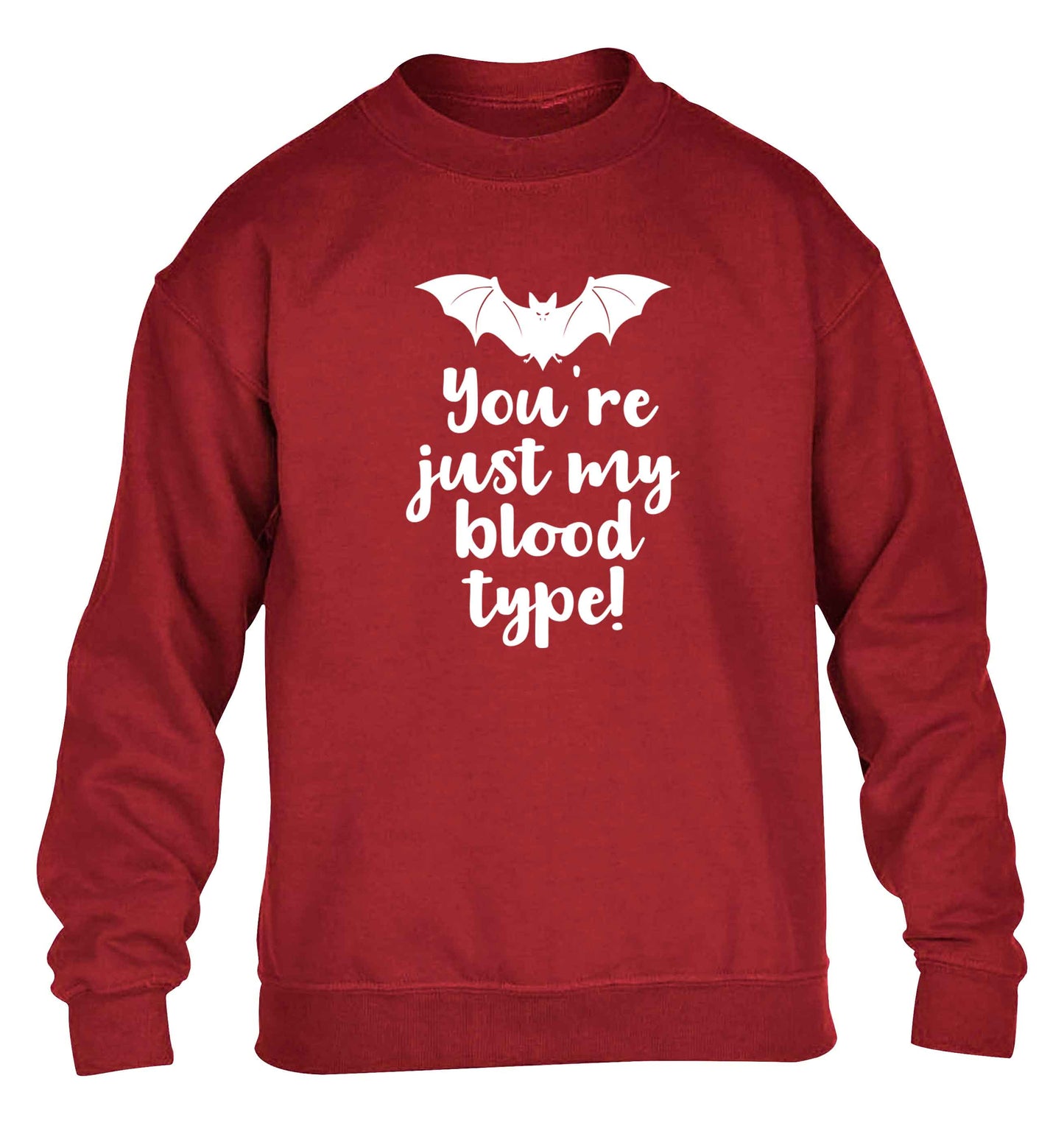 You're just my blood type children's grey sweater 12-13 Years
