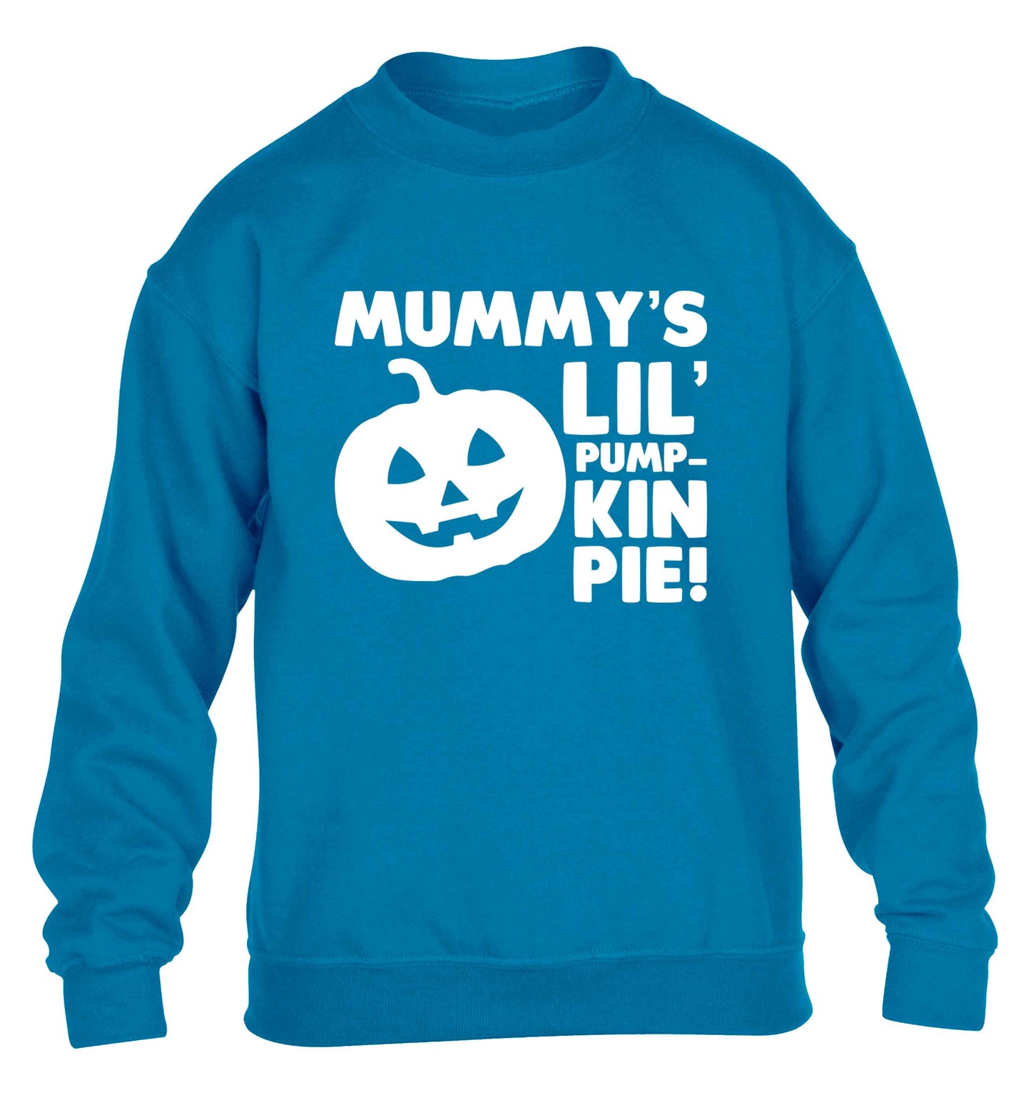 Mummy's lil' pumpkin pie children's blue sweater 12-13 Years