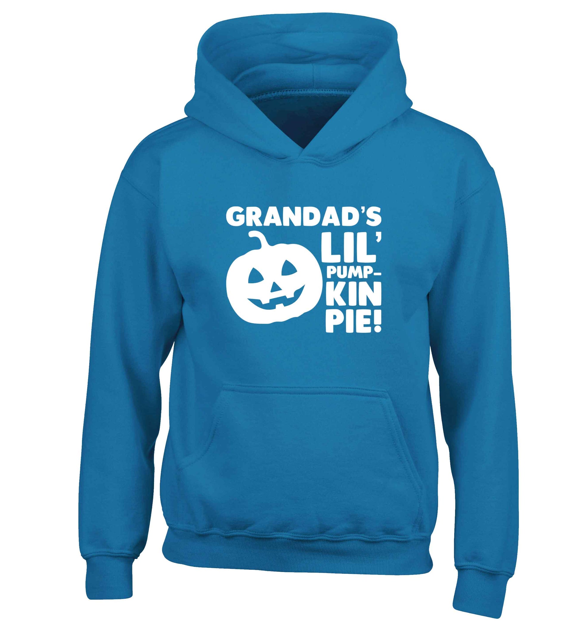 Grandad's lil' pumpkin pie children's blue hoodie 12-13 Years