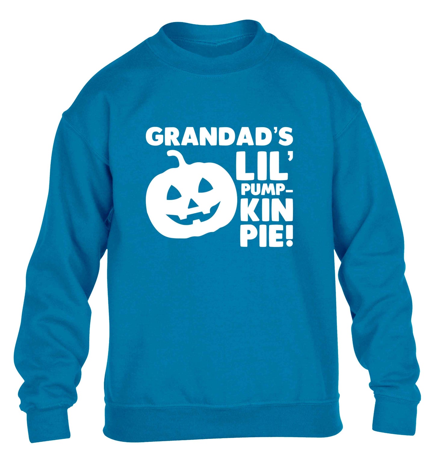Daddy's lil' pumpkin pie children's blue sweater 12-13 Years