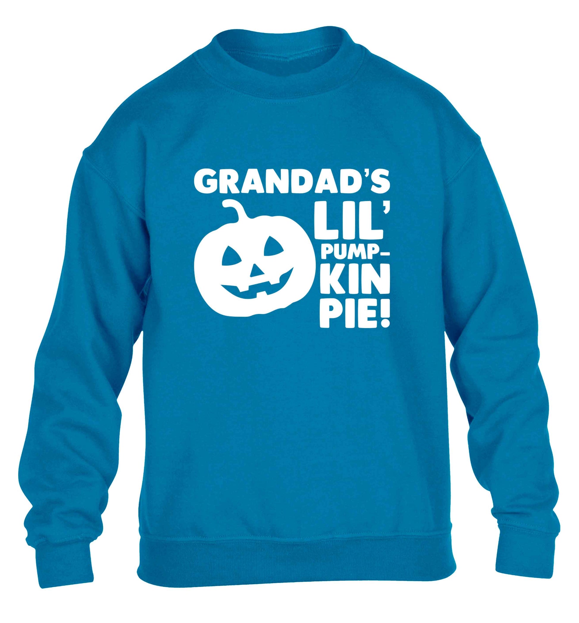Grandad's lil' pumpkin pie children's blue sweater 12-13 Years