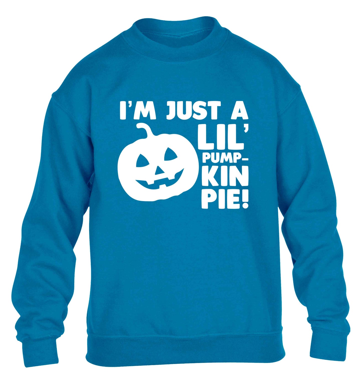 I'm just a lil' pumpkin pie children's blue sweater 12-13 Years