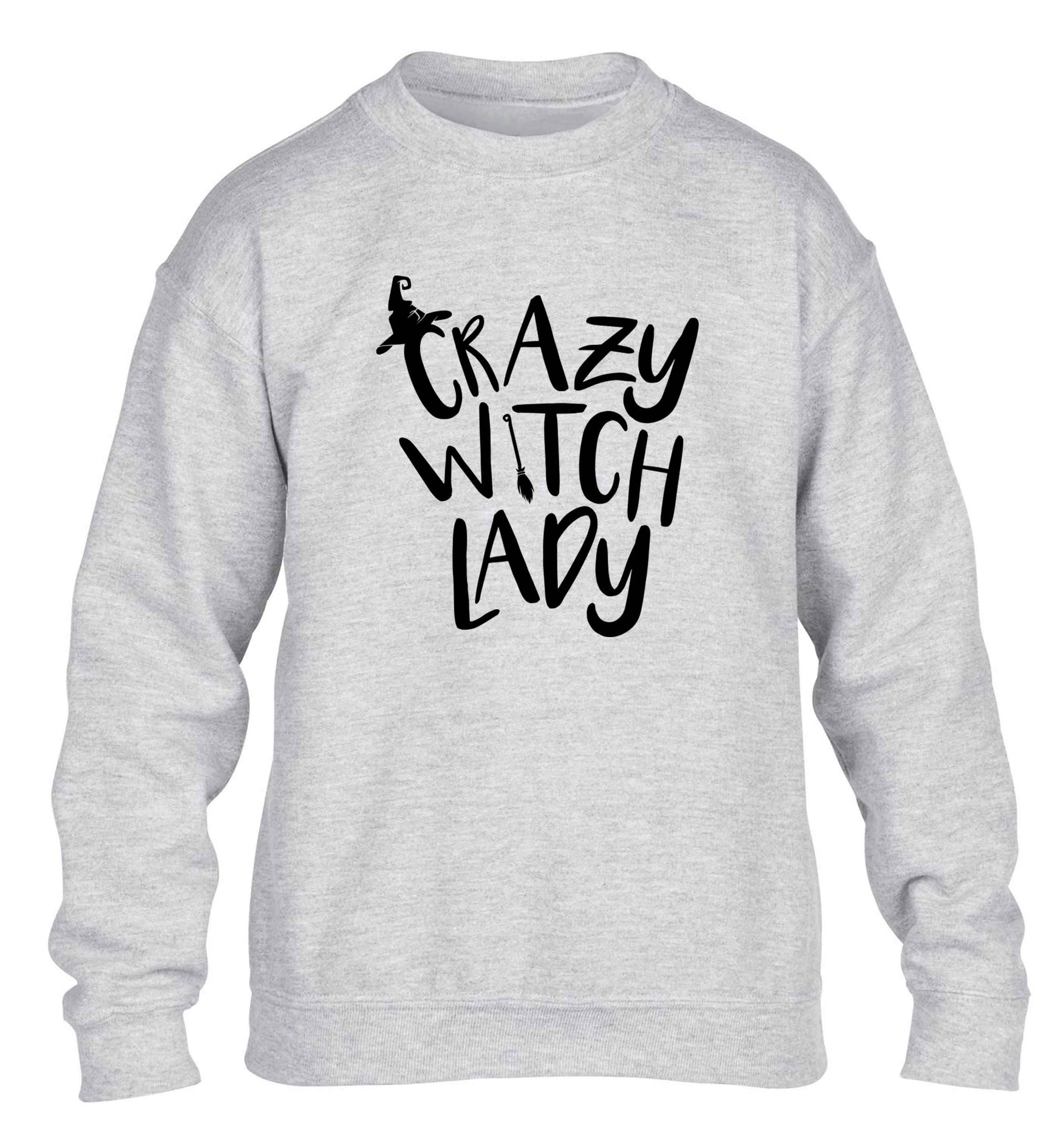 Crazy witch lady children's grey sweater 12-13 Years