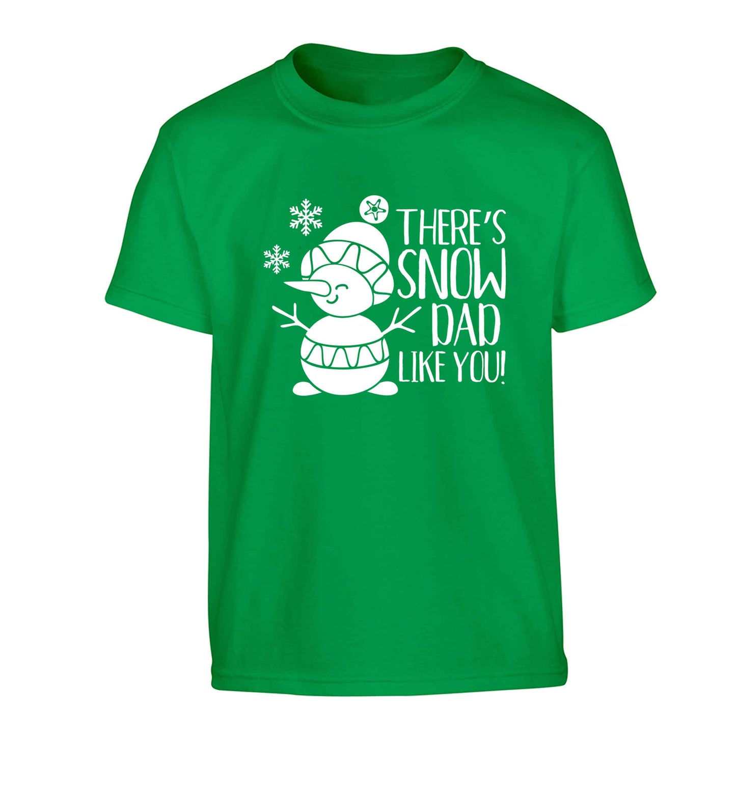 There's snow dad like you Children's green Tshirt 12-13 Years