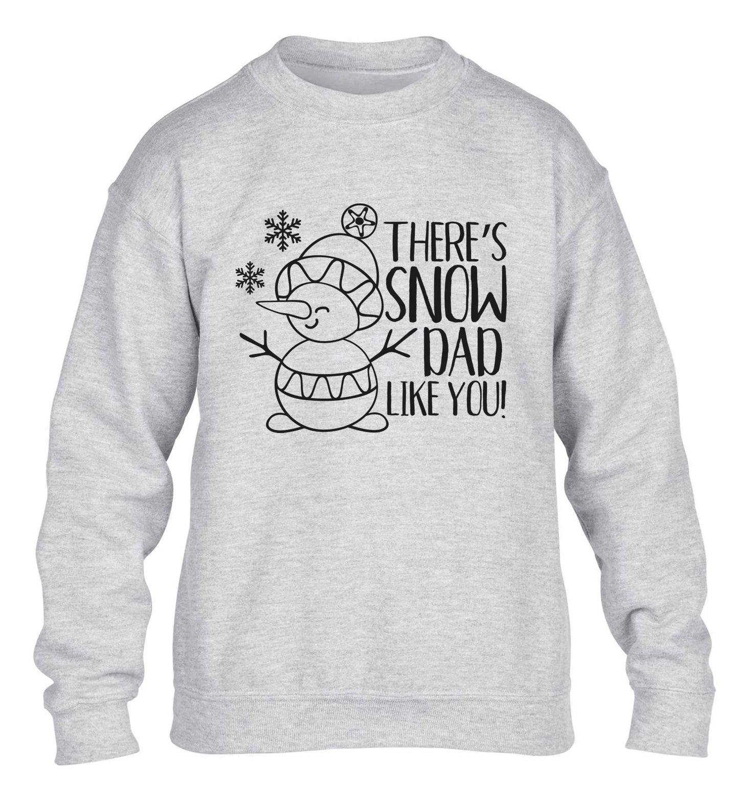 There's snow dad like you children's grey sweater 12-13 Years
