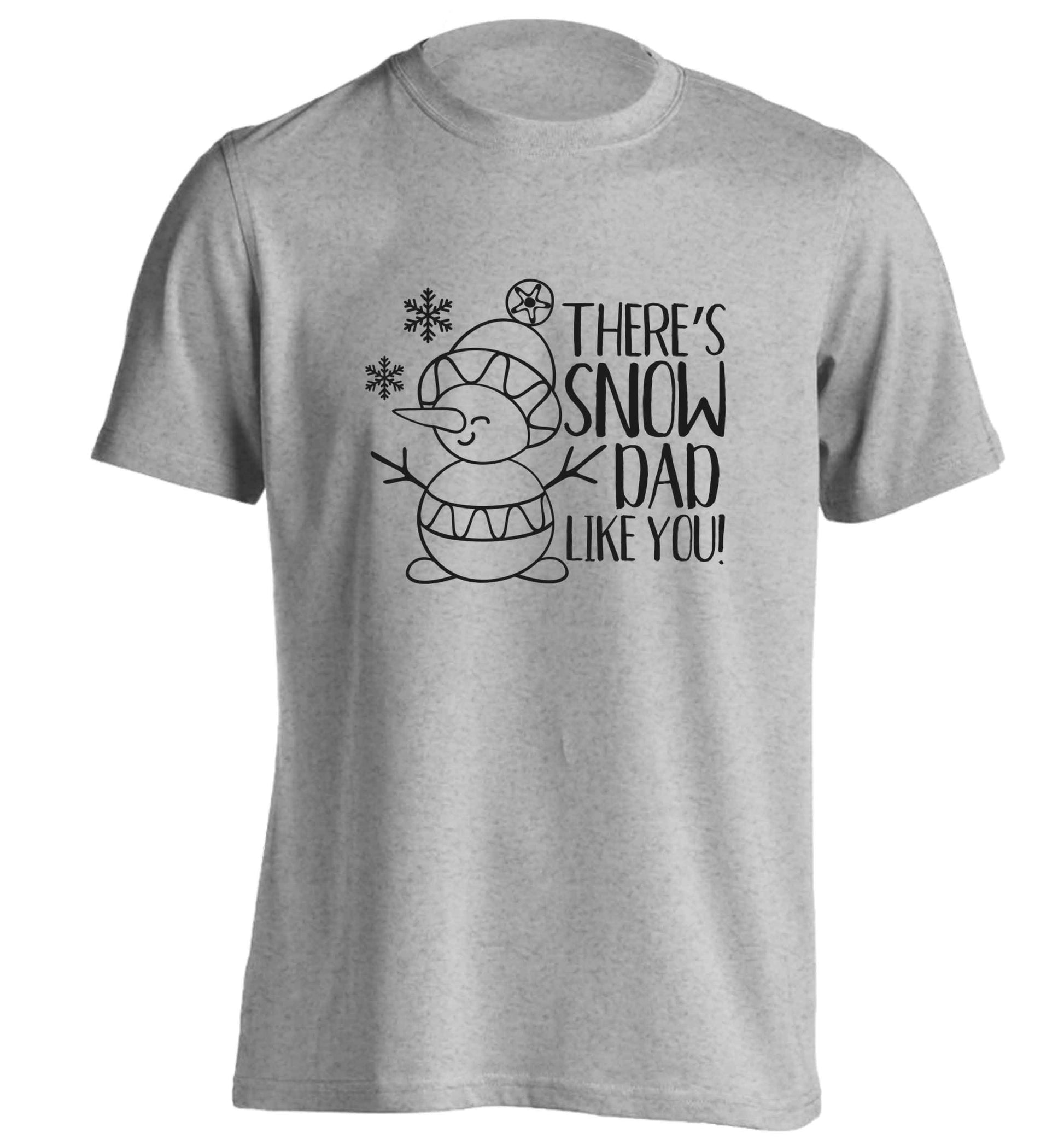 There's snow dad like you adults unisex grey Tshirt 2XL