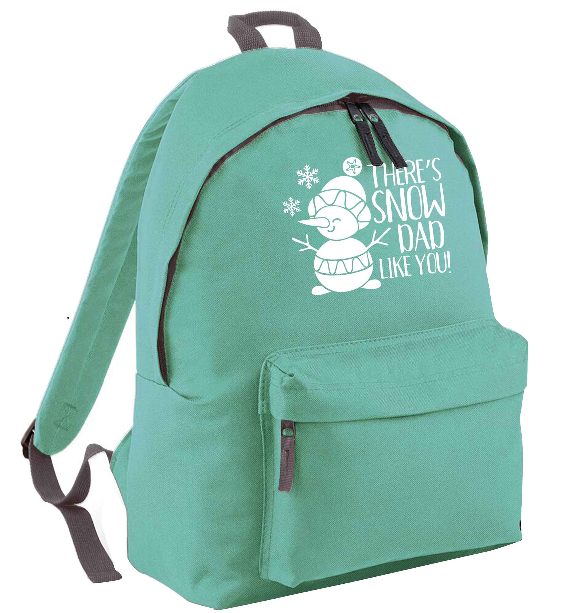 There's snow dad like you mint adults backpack