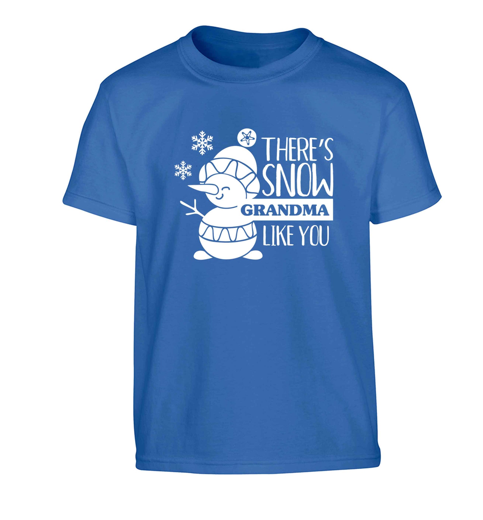 There's snow grandma like you Children's blue Tshirt 12-13 Years