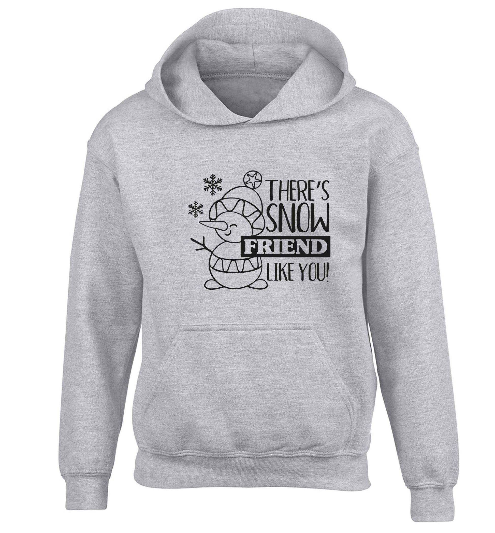 There's snow friend like you children's grey hoodie 12-13 Years