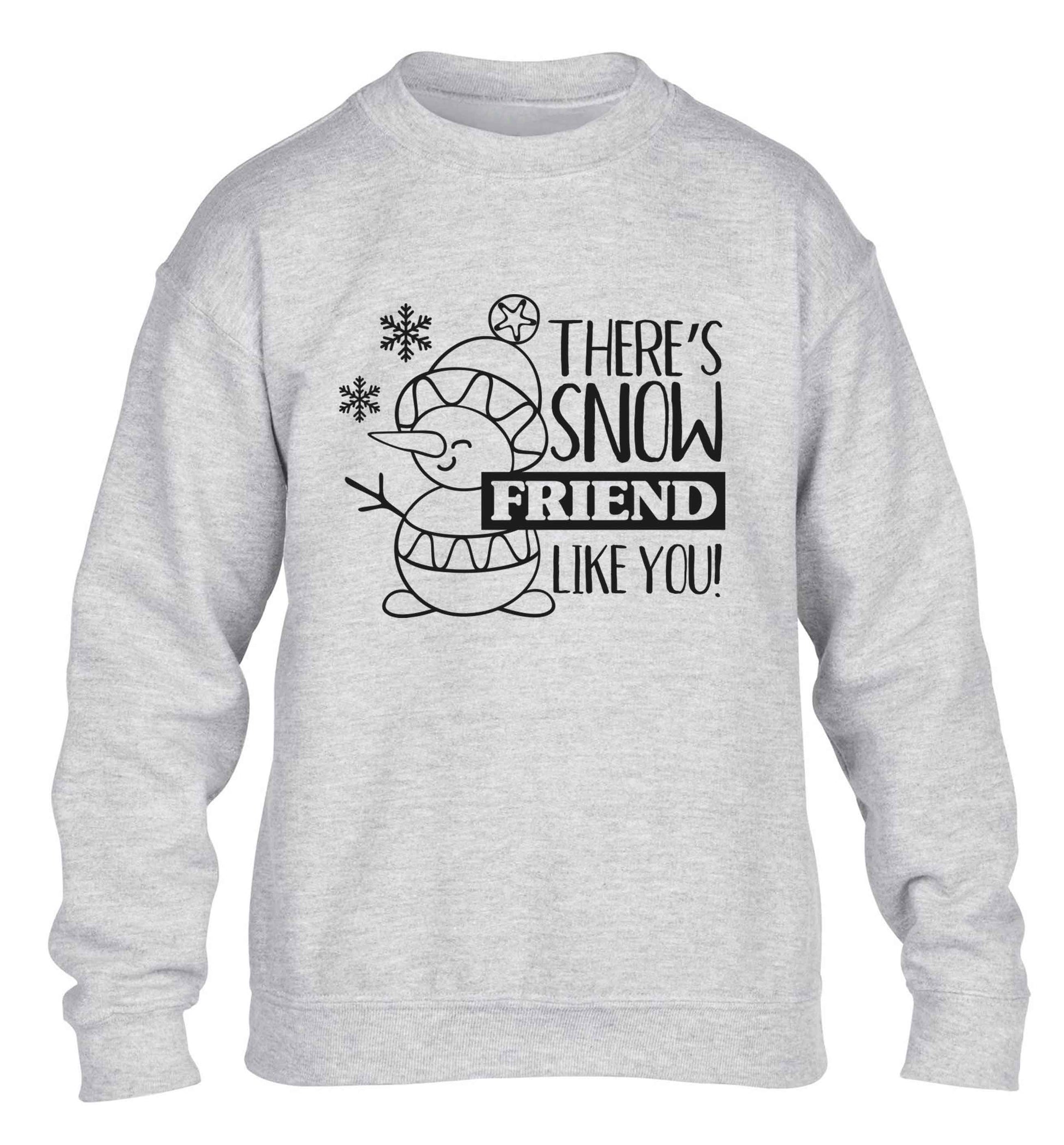 There's snow friend like you children's grey sweater 12-13 Years