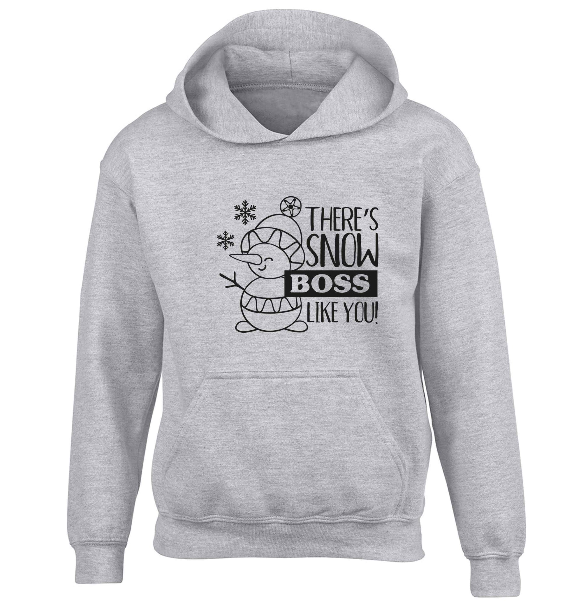 There's snow boss like you children's grey hoodie 12-13 Years