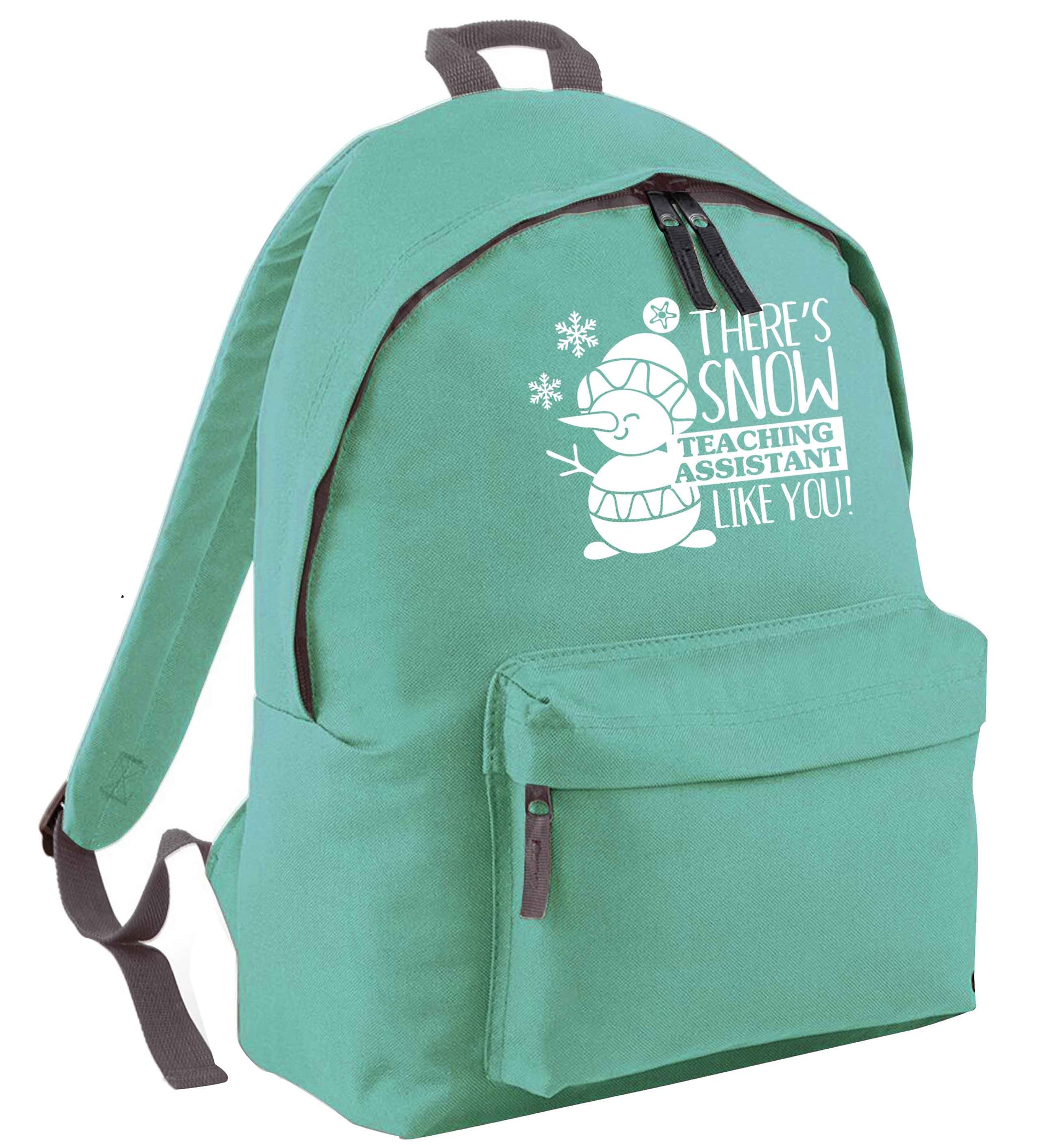 There's snow teaching assistant like you mint adults backpack