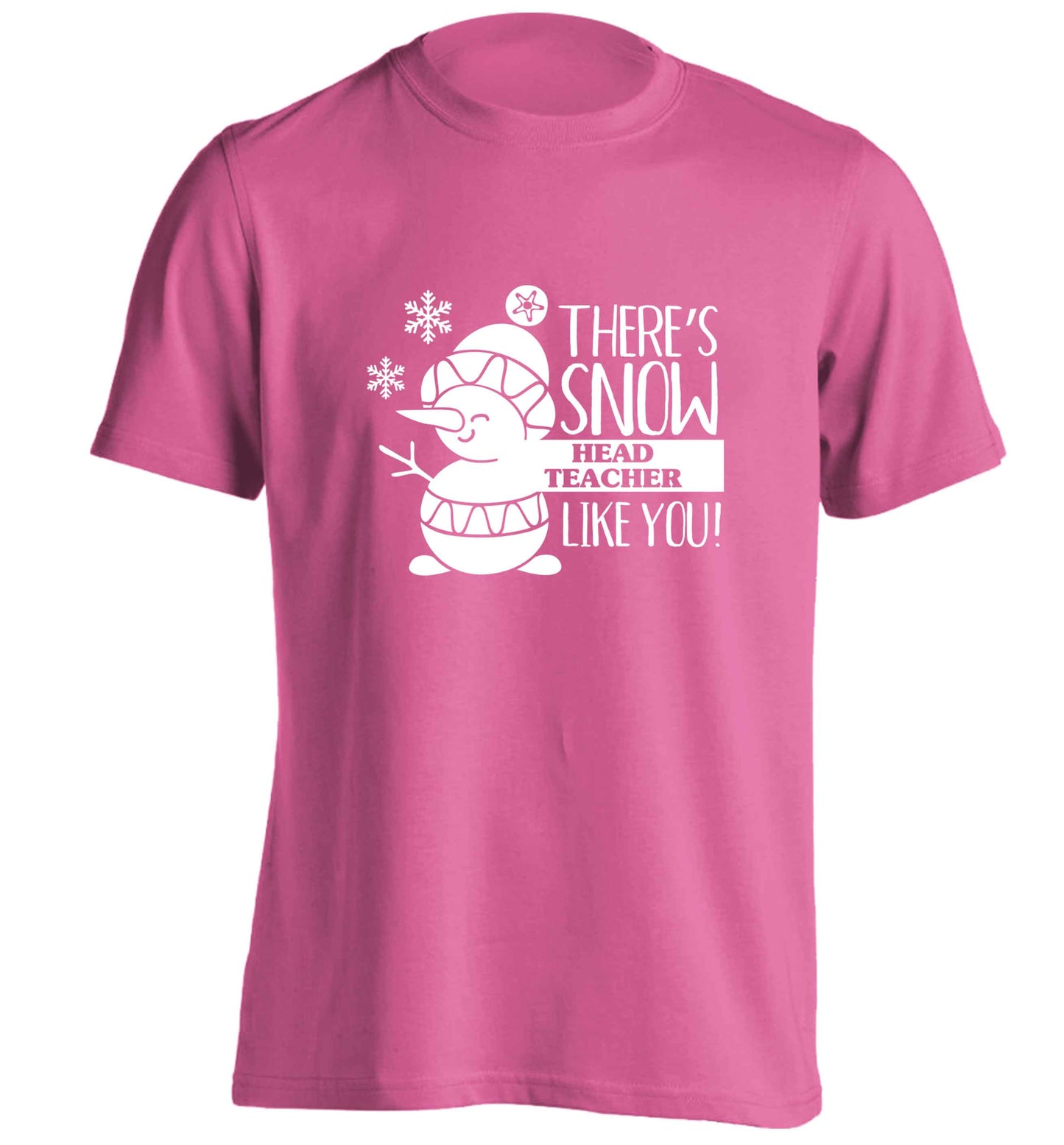 There's snow head teacher like you adults unisex pink Tshirt 2XL