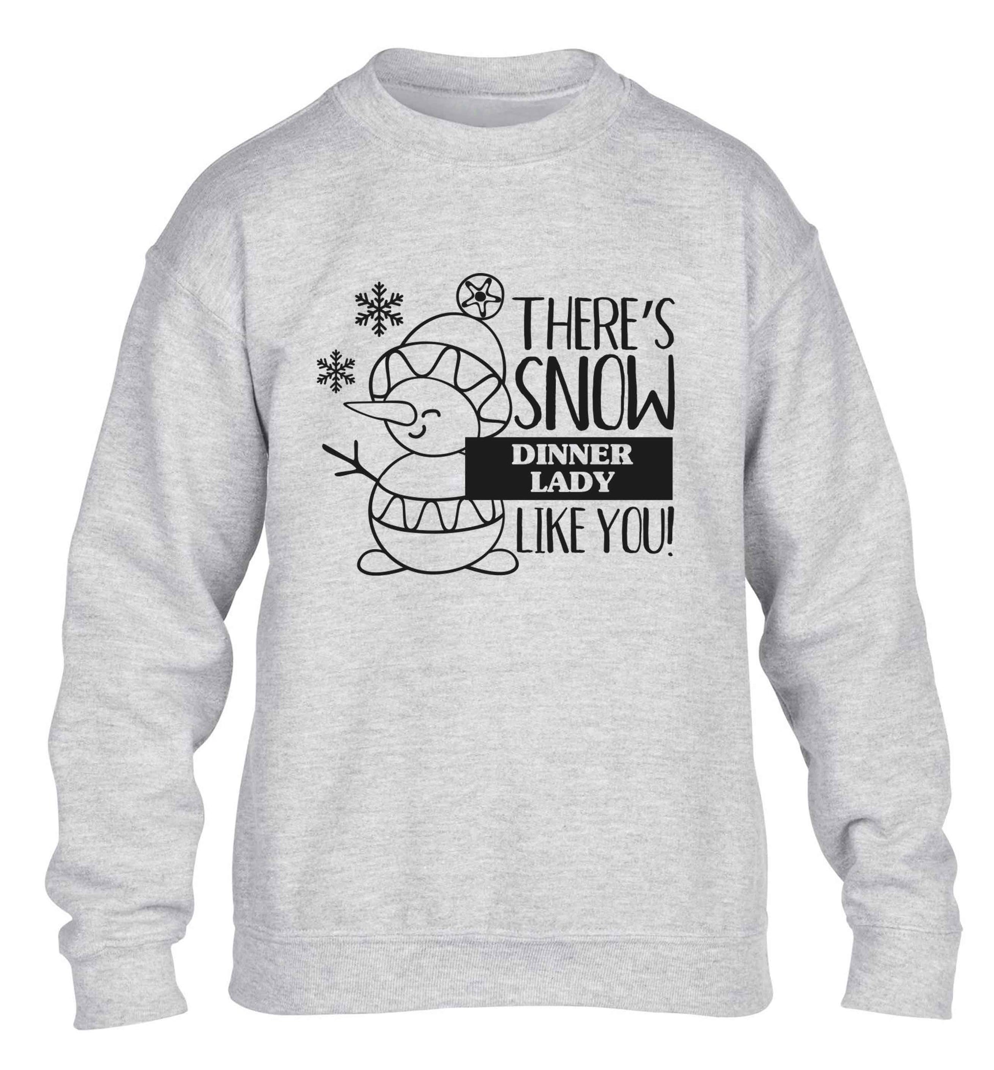 There's snow dinner lady like you children's grey sweater 12-13 Years