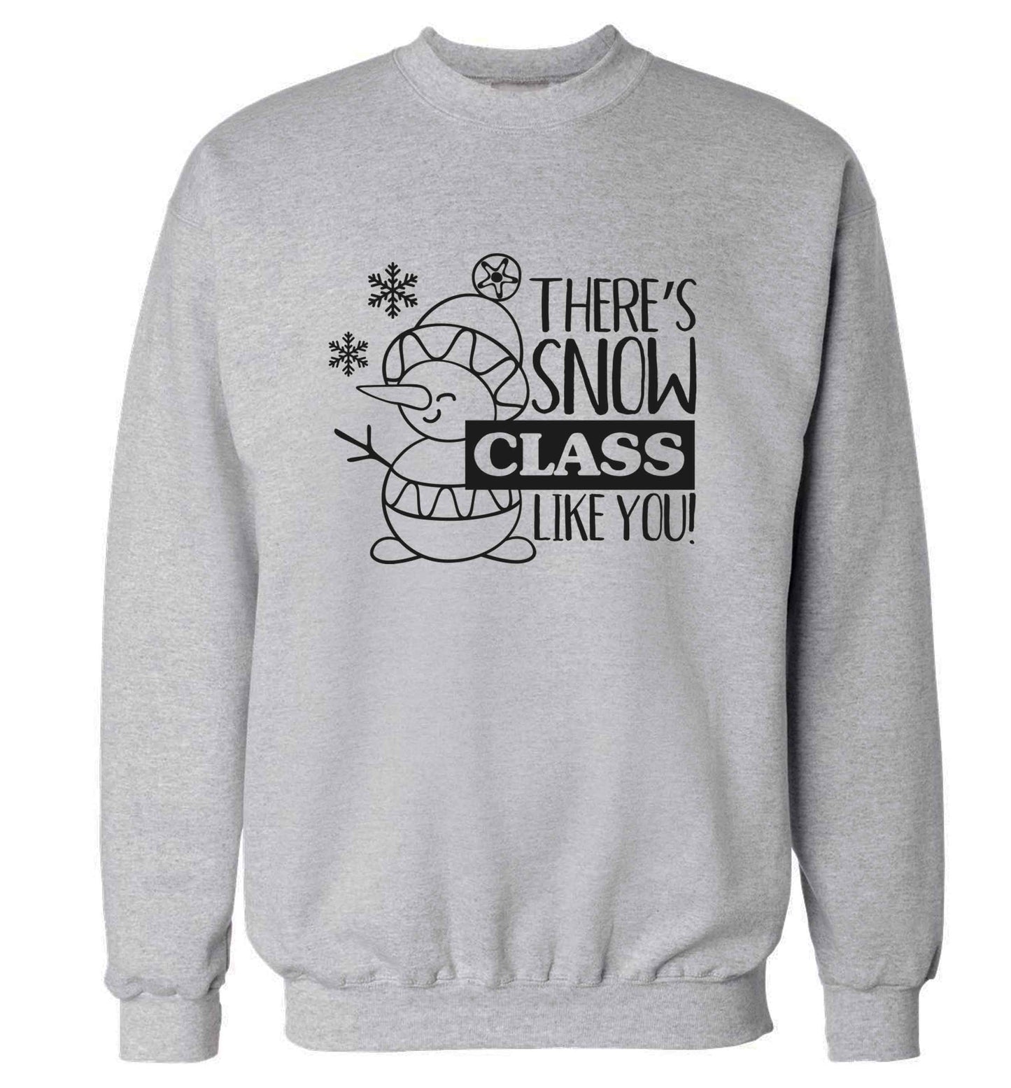 There's snow class like you adult's unisex grey sweater 2XL