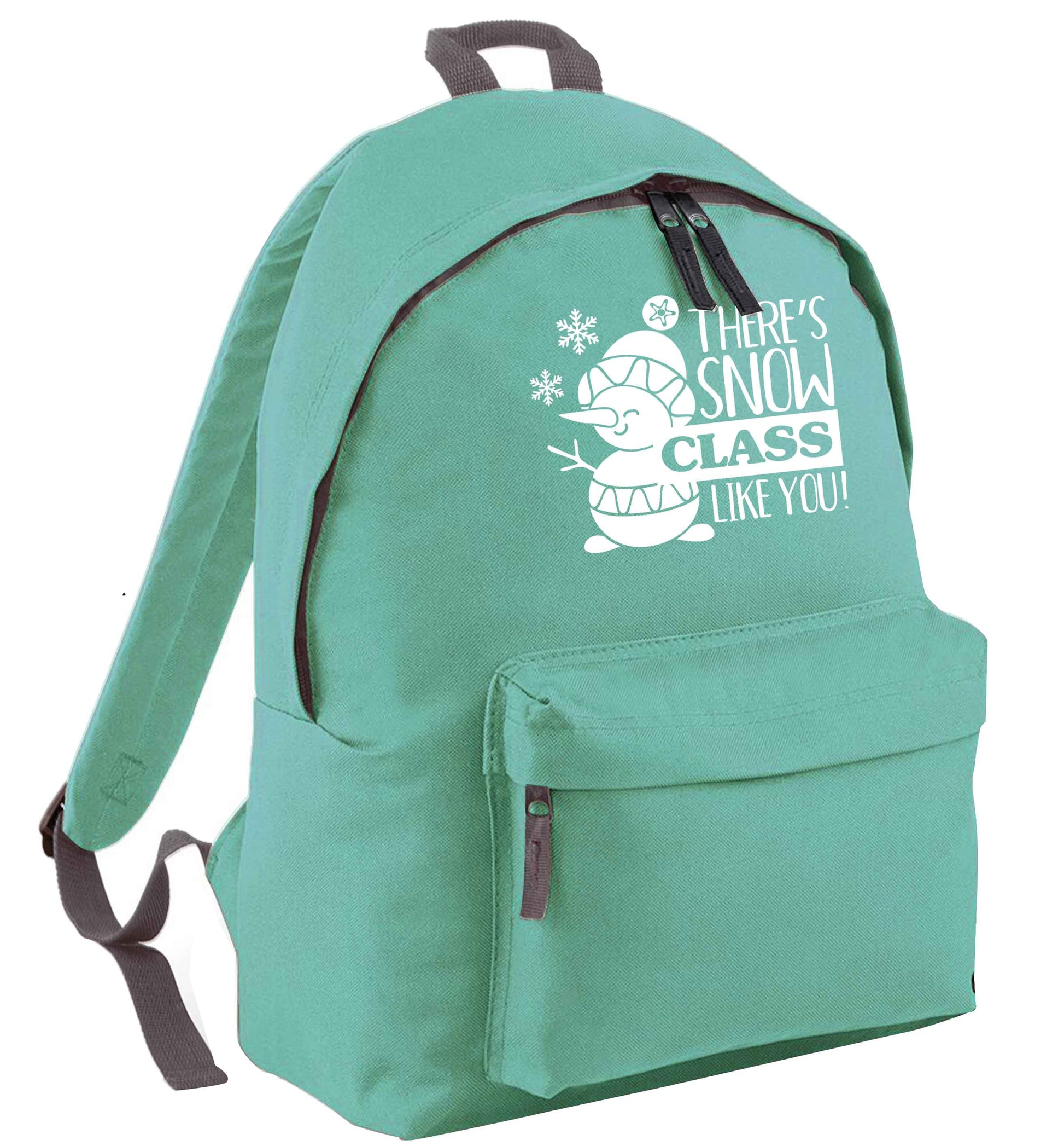 There's snow class like you mint adults backpack