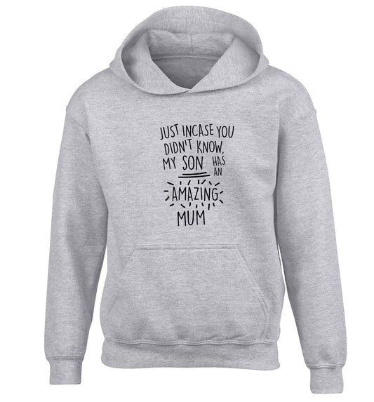 Just incase you didn't know my son has an amazing mum children's grey hoodie 12-13 Years