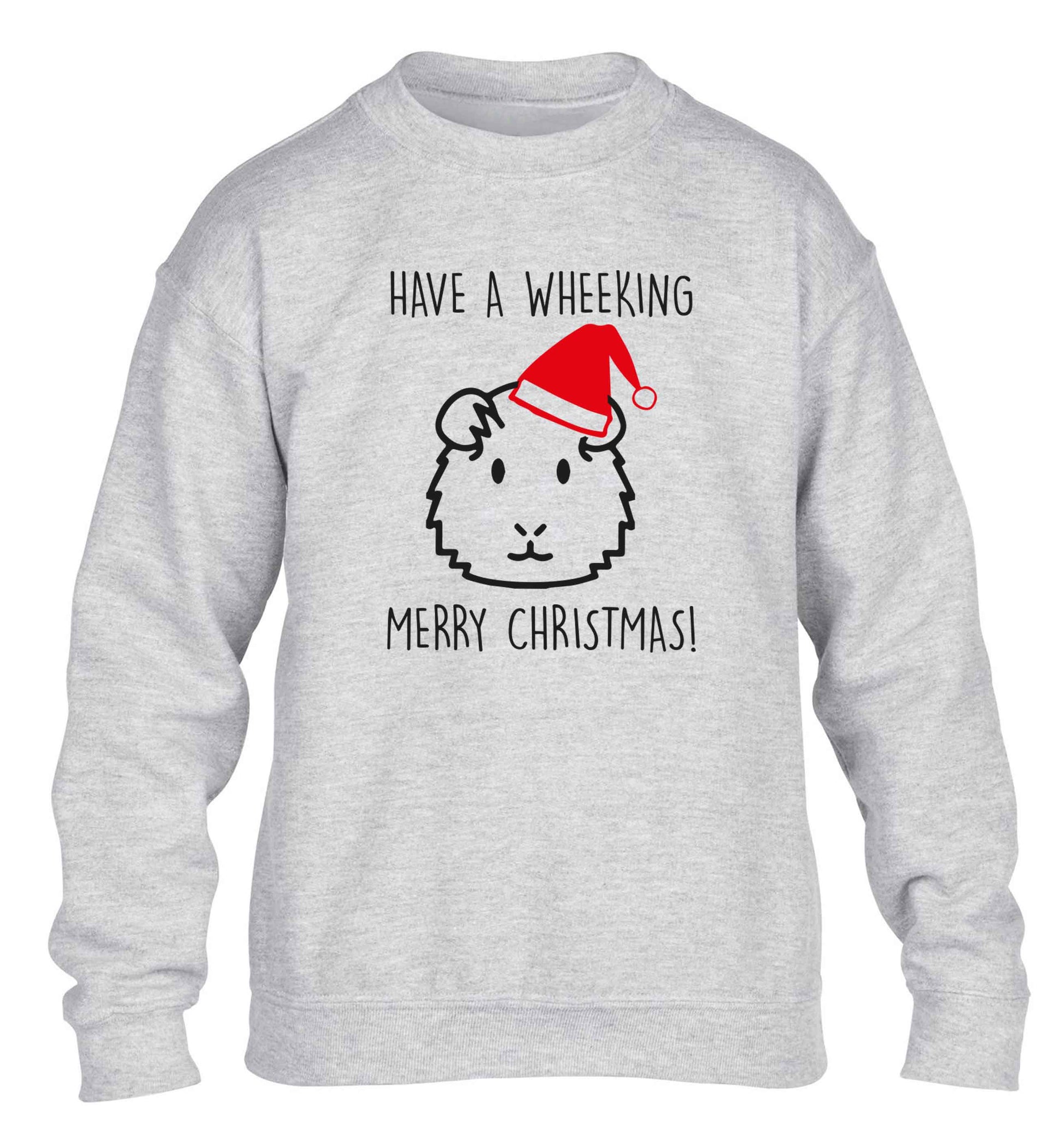 Have a wheeking merry Christmas children's grey sweater 12-13 Years