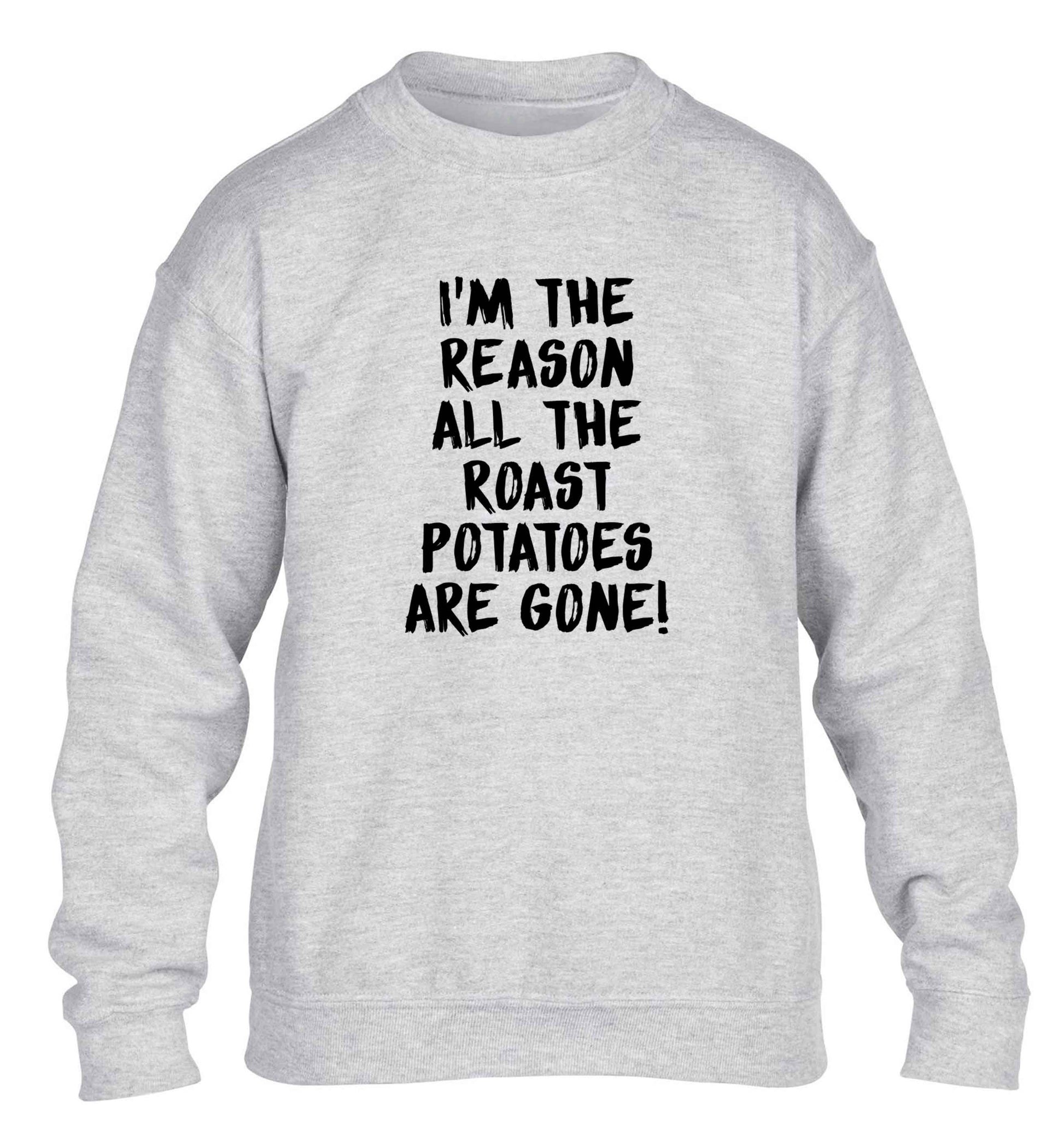 I'm the reason all the roast potatoes are gone children's grey sweater 12-13 Years