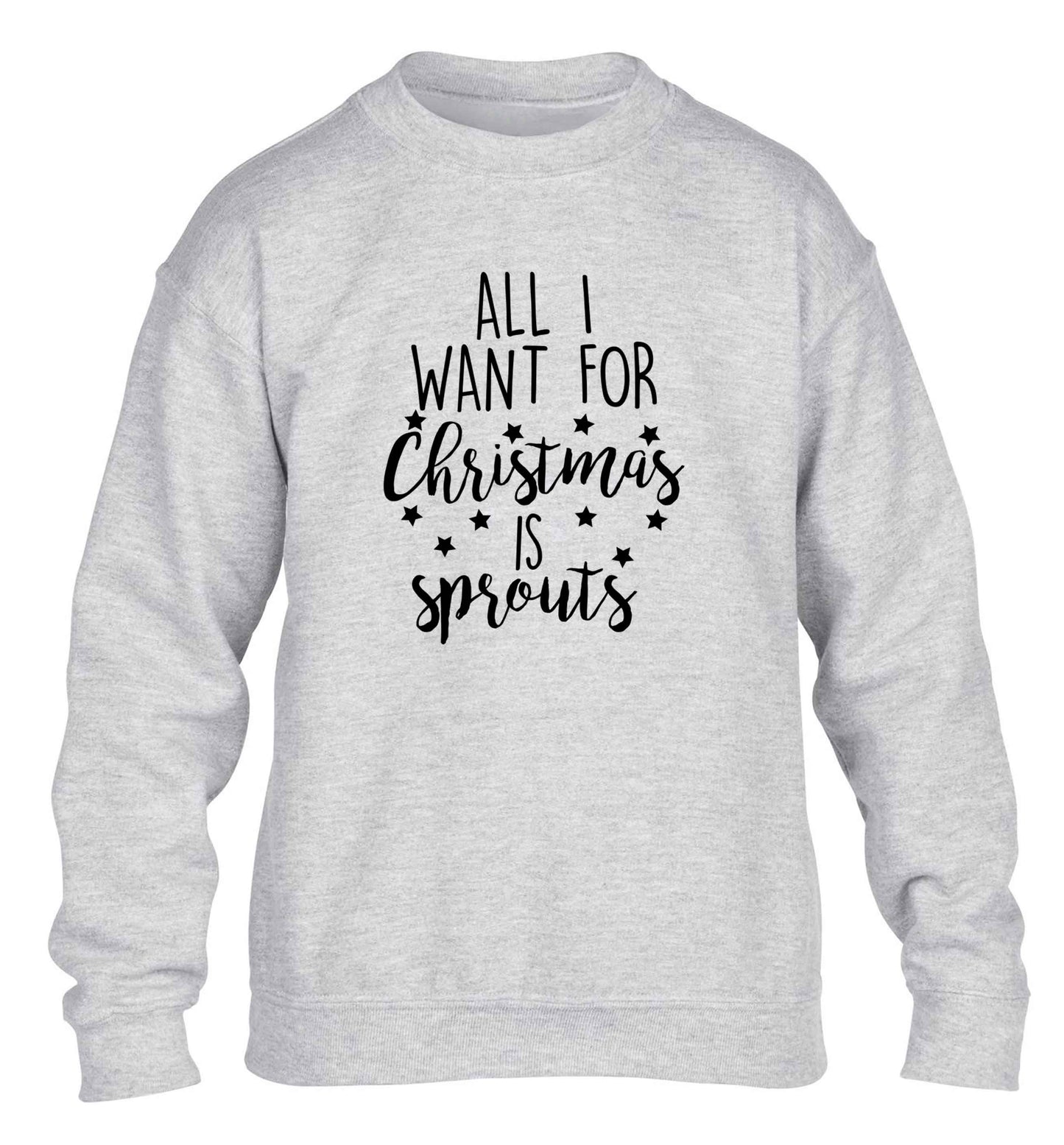 All I want for Christmas is sprouts children's grey sweater 12-13 Years