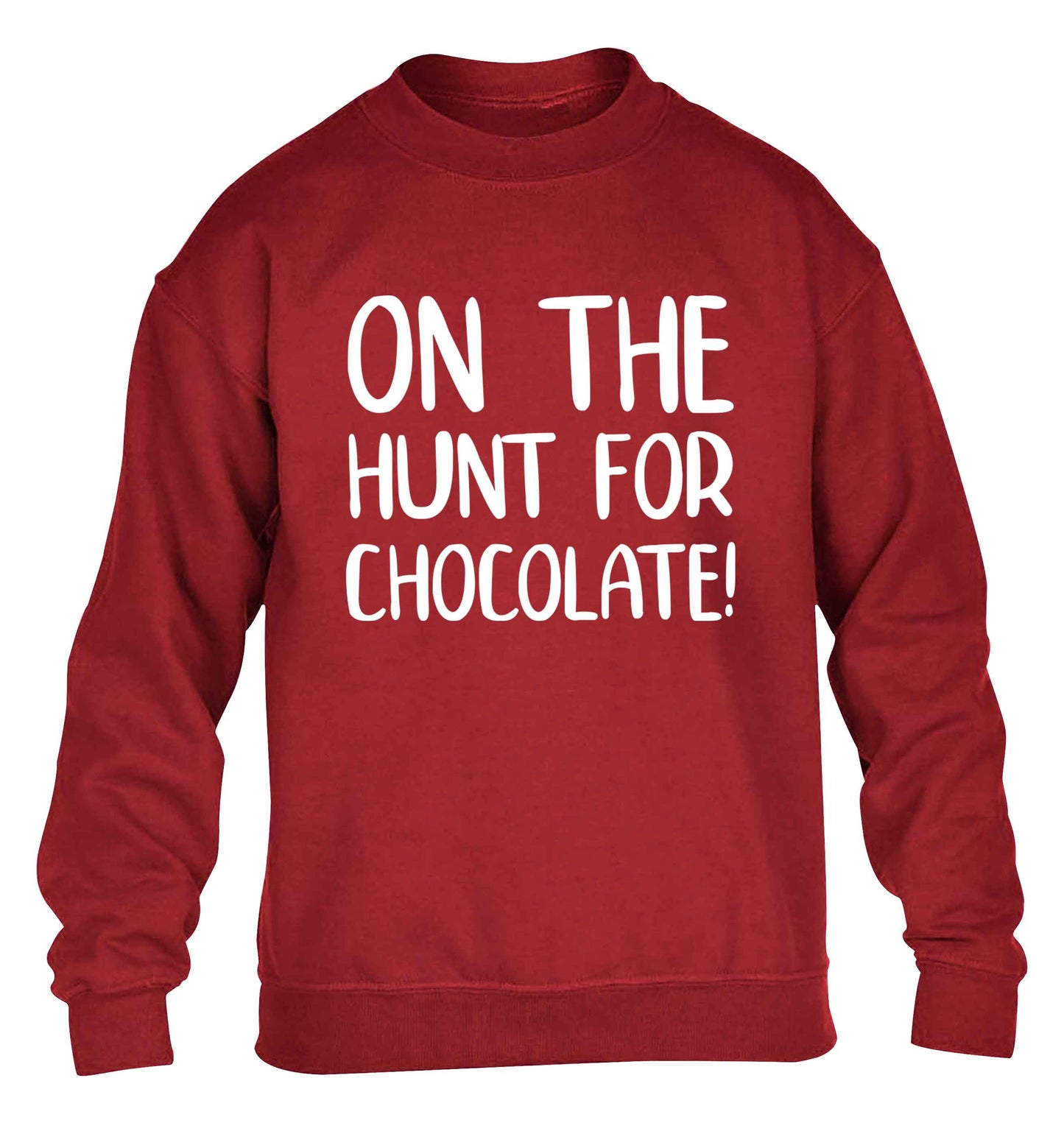 On the hunt for chocolate! children's grey sweater 12-13 Years