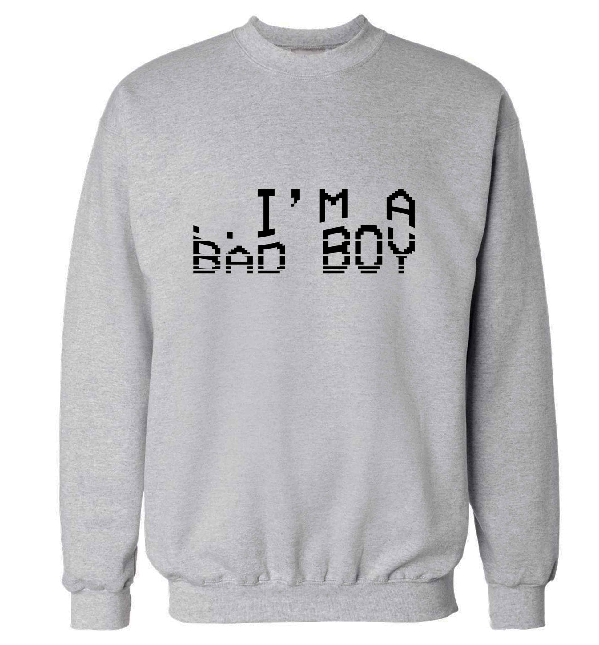 Gen Z funny viral meme  adult's unisex grey sweater 2XL