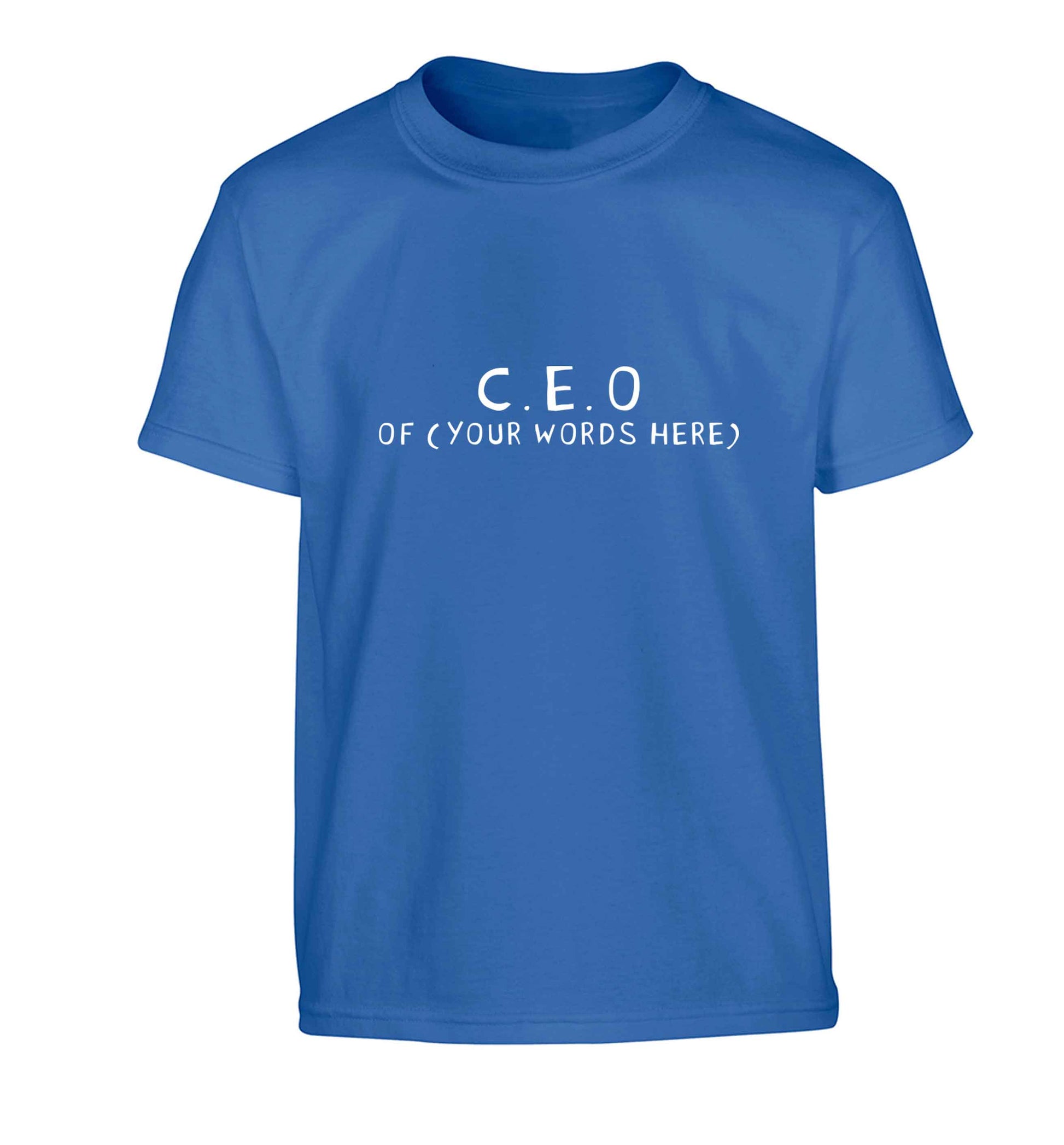 What are you president of? Personalise it here!  Children's blue Tshirt 12-13 Years
