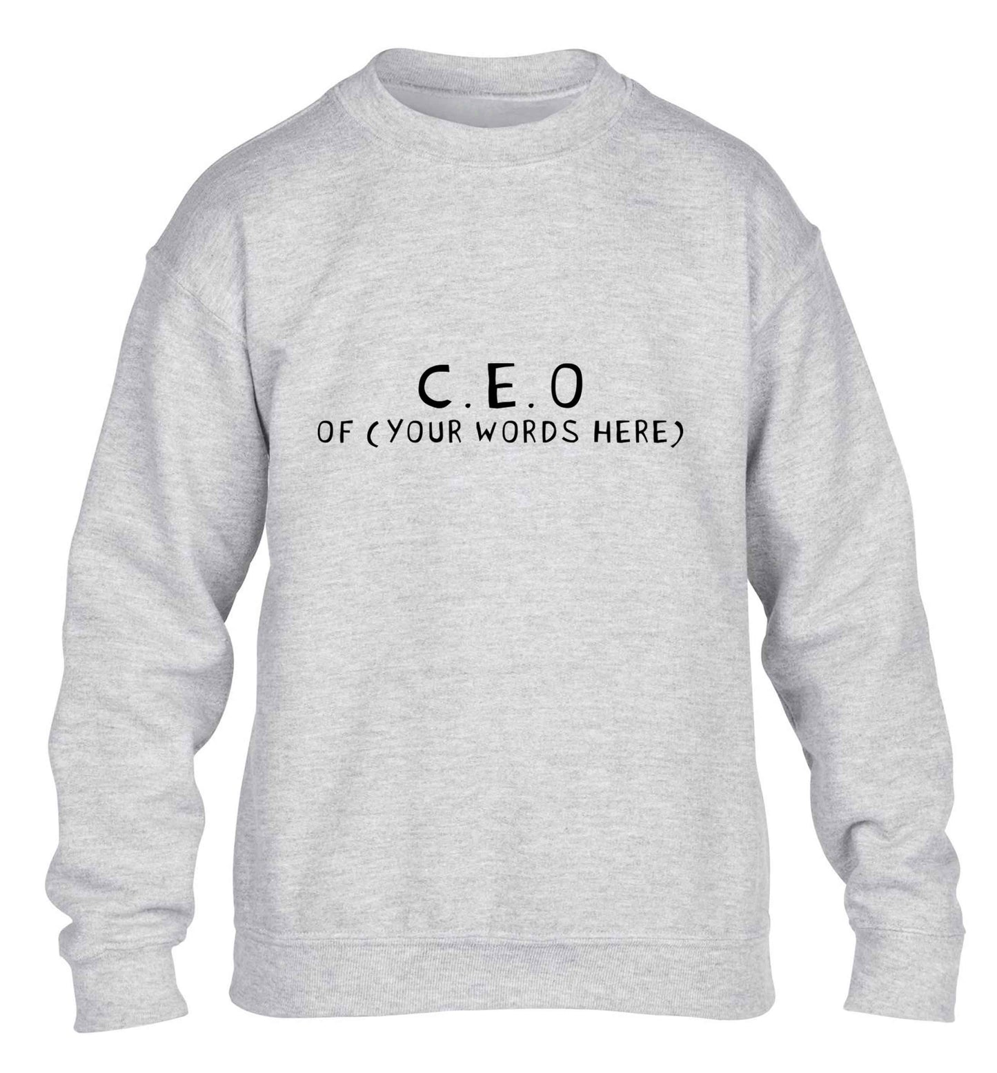 What are you president of? Personalise it here!  children's grey sweater 12-13 Years