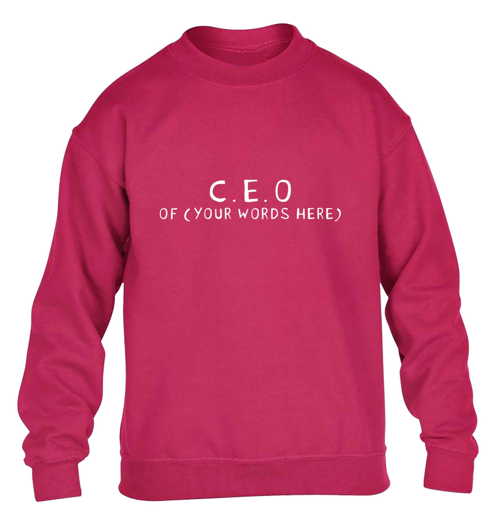 What are you president of? Personalise it here!  children's pink sweater 12-13 Years